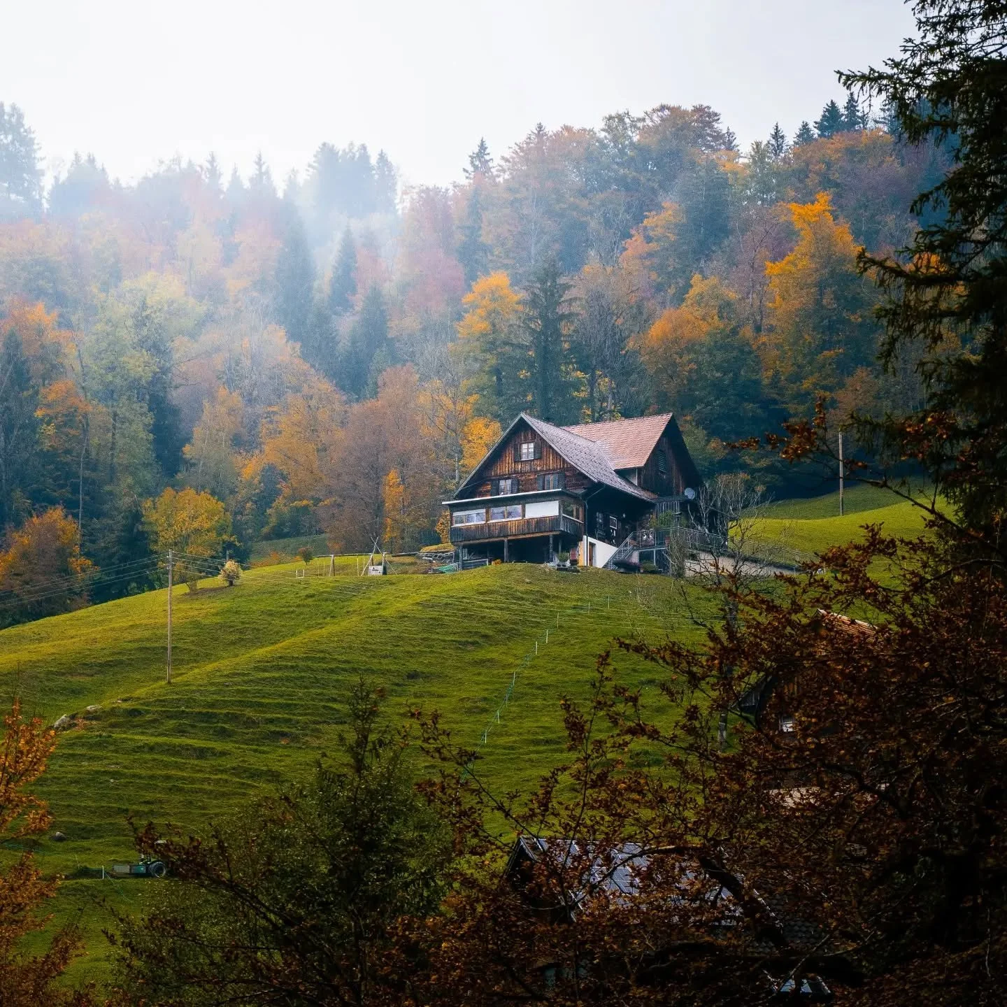 Ein Herbsttag in &Ouml;sterreich 🍁🌫️

#moodynature #autumnaesthetic #visitaustria #landscape_lovers #cabincrew