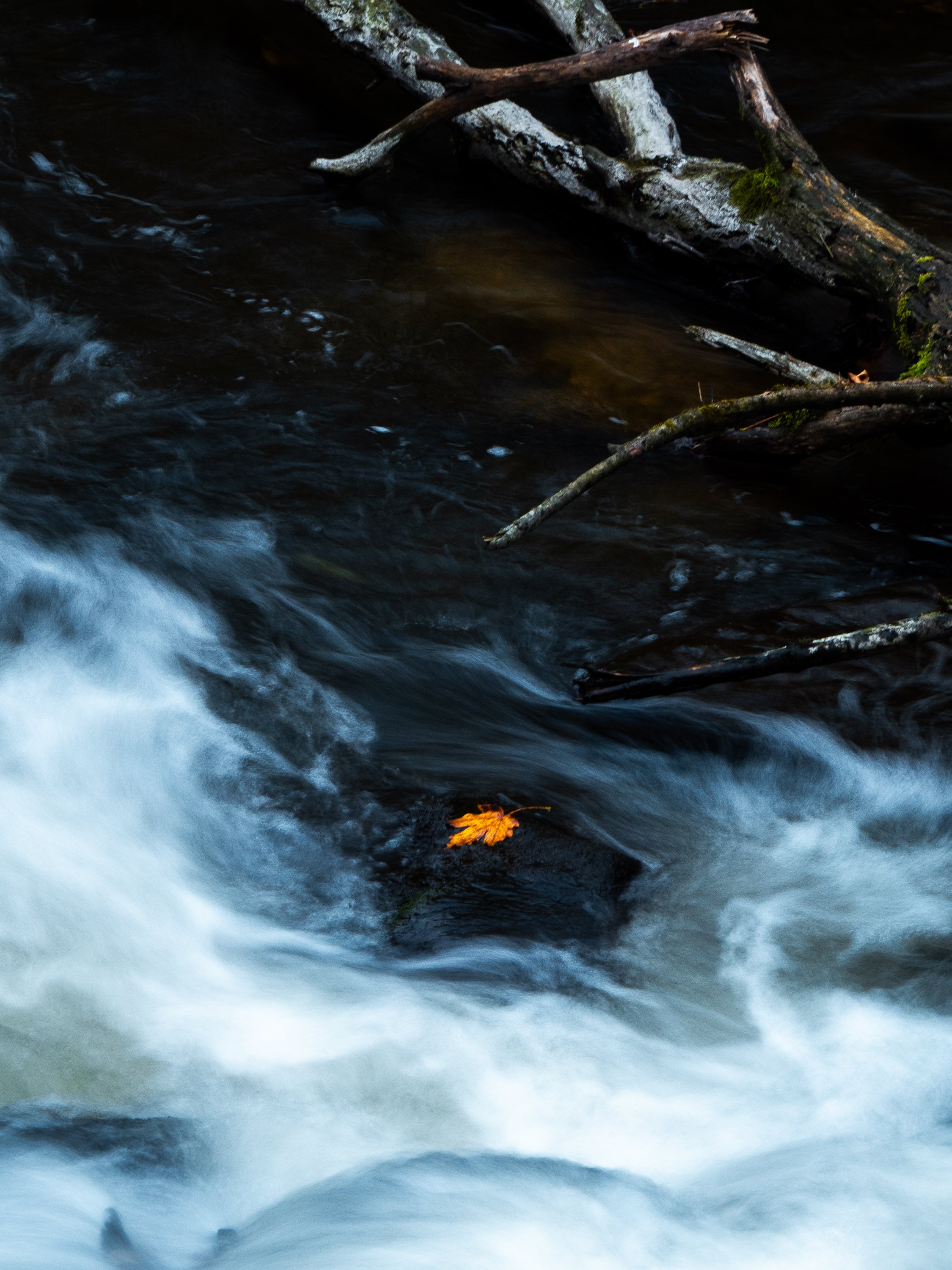 🍁

#autumnleaves #woodlands_and_water #longexposure_shots #moodynature #landschaftsfotografie