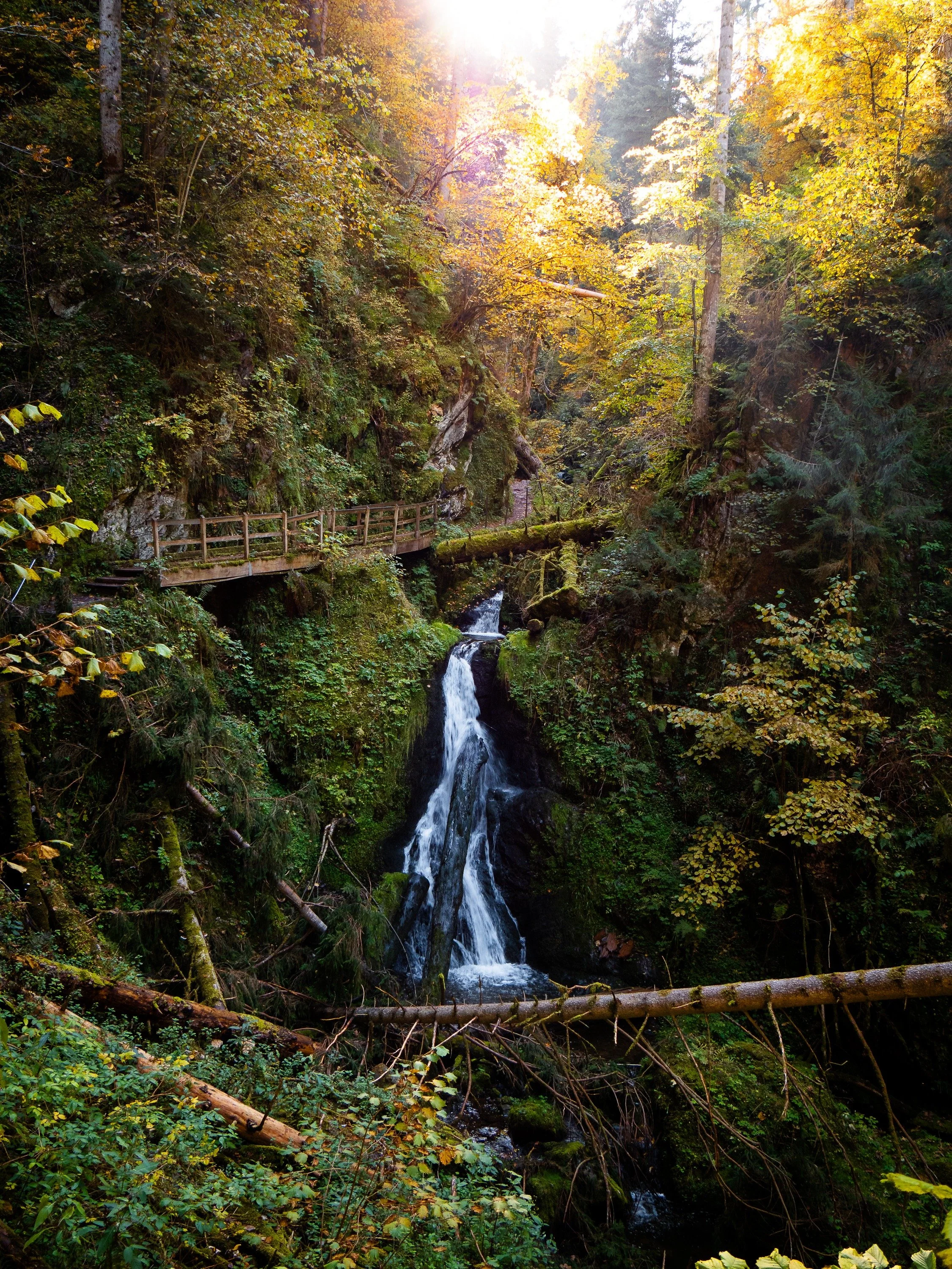 ☀️🥾🌊🍂🌲

Service-Hinweis: Foto aus 2025, die Lotenbachklamm ist aktuell wegen eines Erdrutsches gesperrt.

#waterfalls #wildnature #earthoutdoors #hikingtheglobe #outdoorwomen