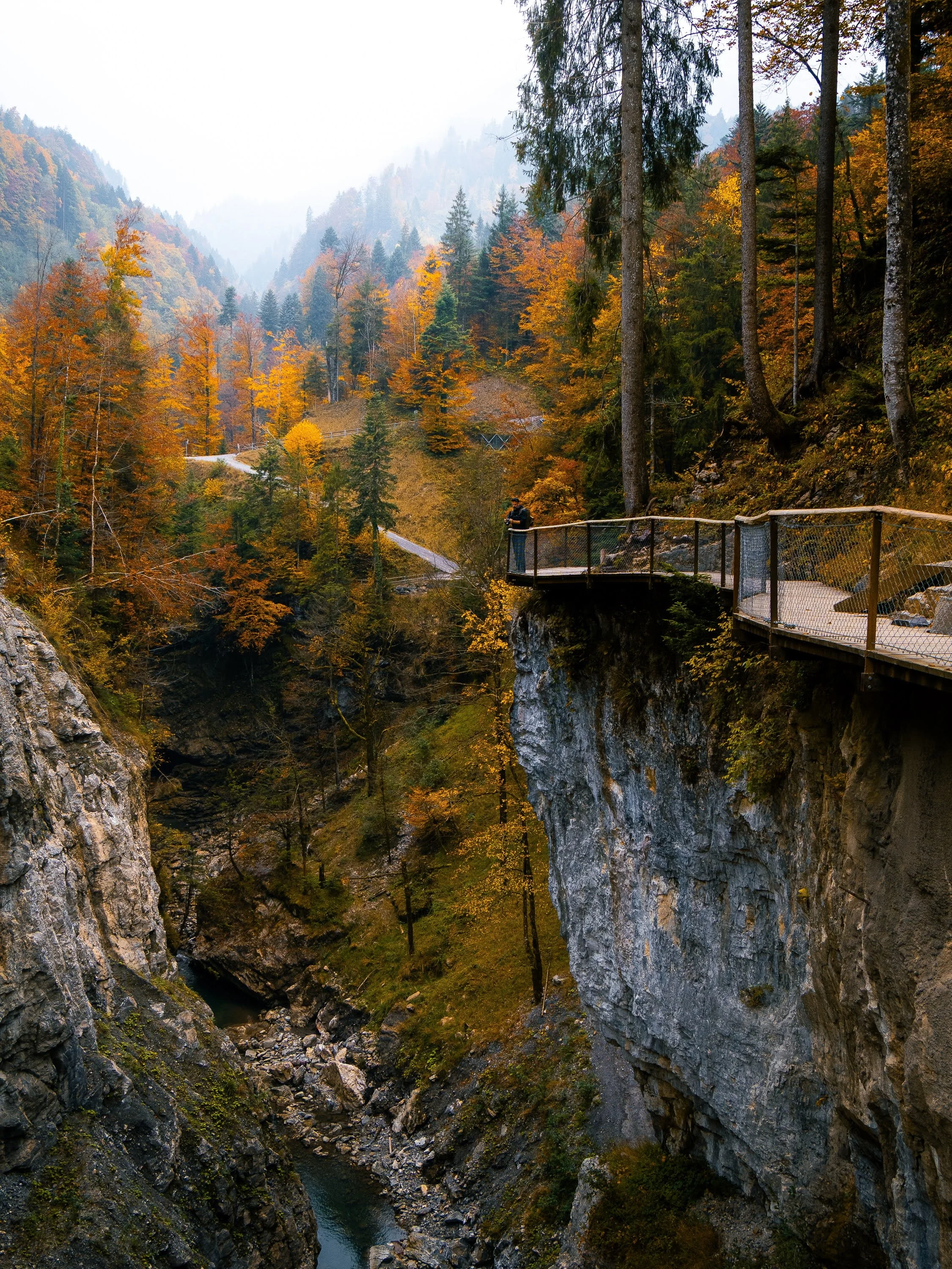 Ein Blick in die Rappenlochschlucht bei Dornbirn. Herbststimmung mit bunt verfärbten Bäumen und bedecktem Himmel.