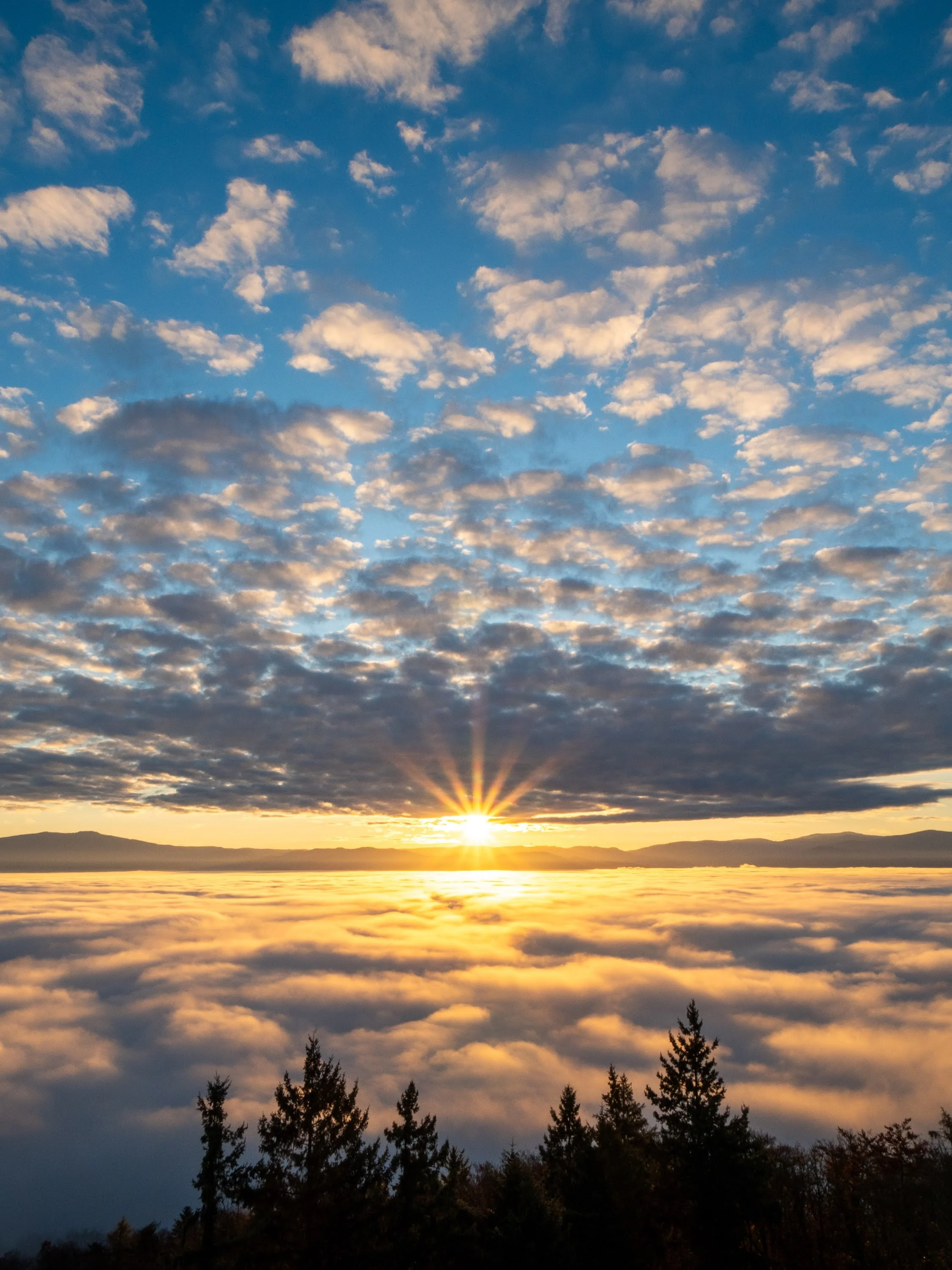 Sonnenaufgang über dem Schwarzwald und einem Nebelmeer in der Rheinebene, fotografiert vom Eichelspitz-Turm in Eichstetten