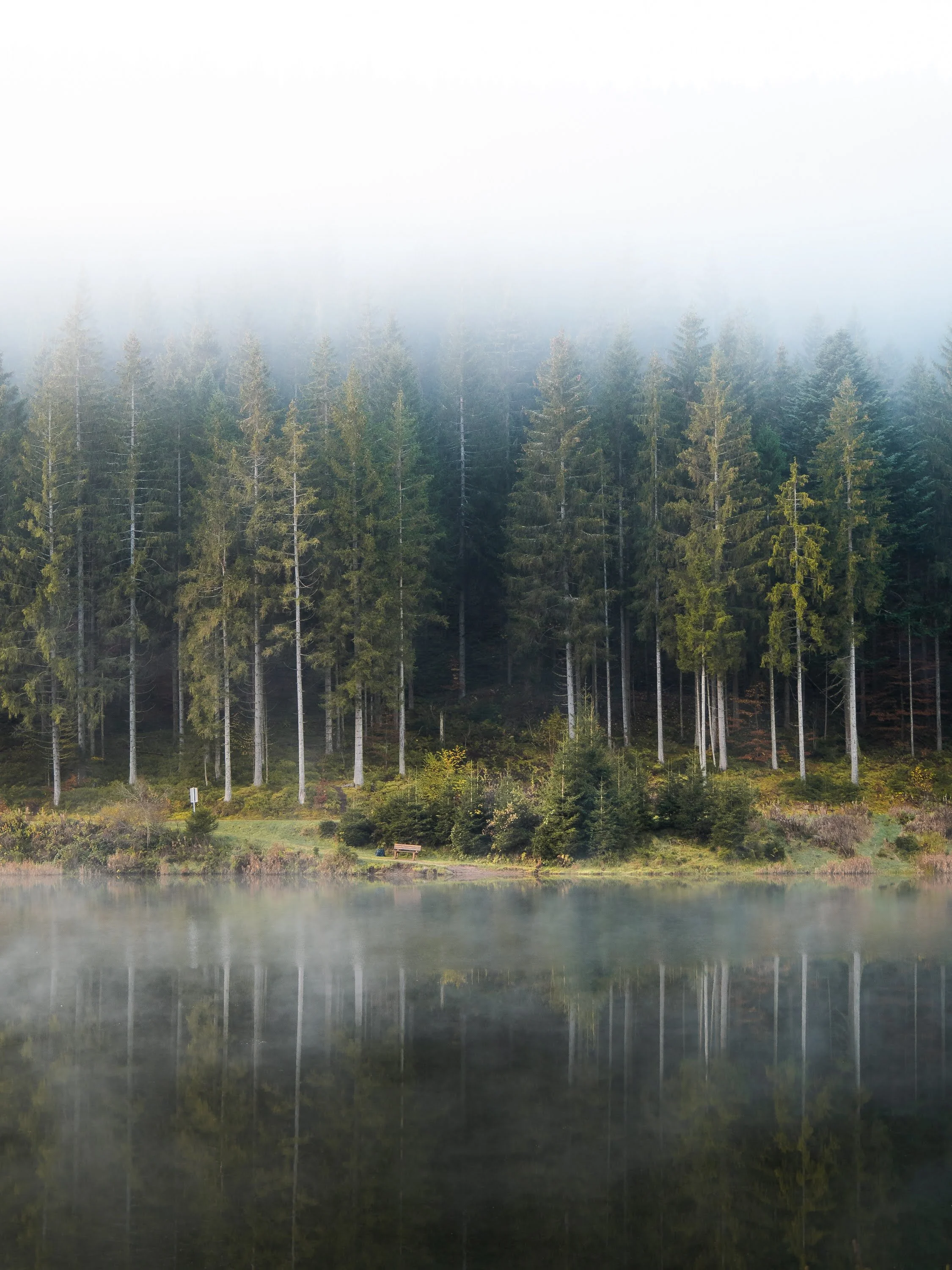 Nebelstimmung an der Linachtalsperre im Schwarzwald