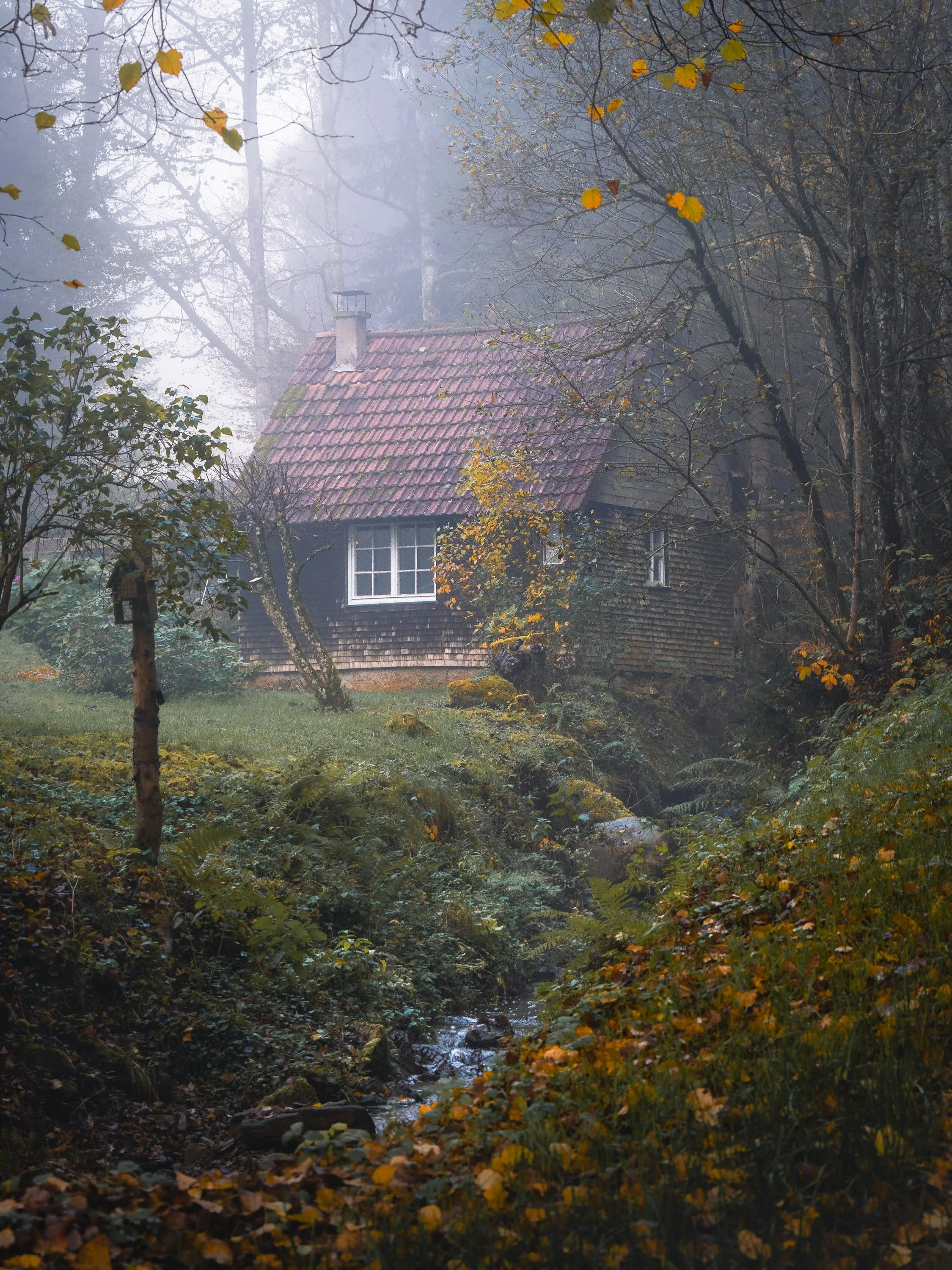 Einsames kleines Haus in mystischer Herbststimmung im Schwarzwald