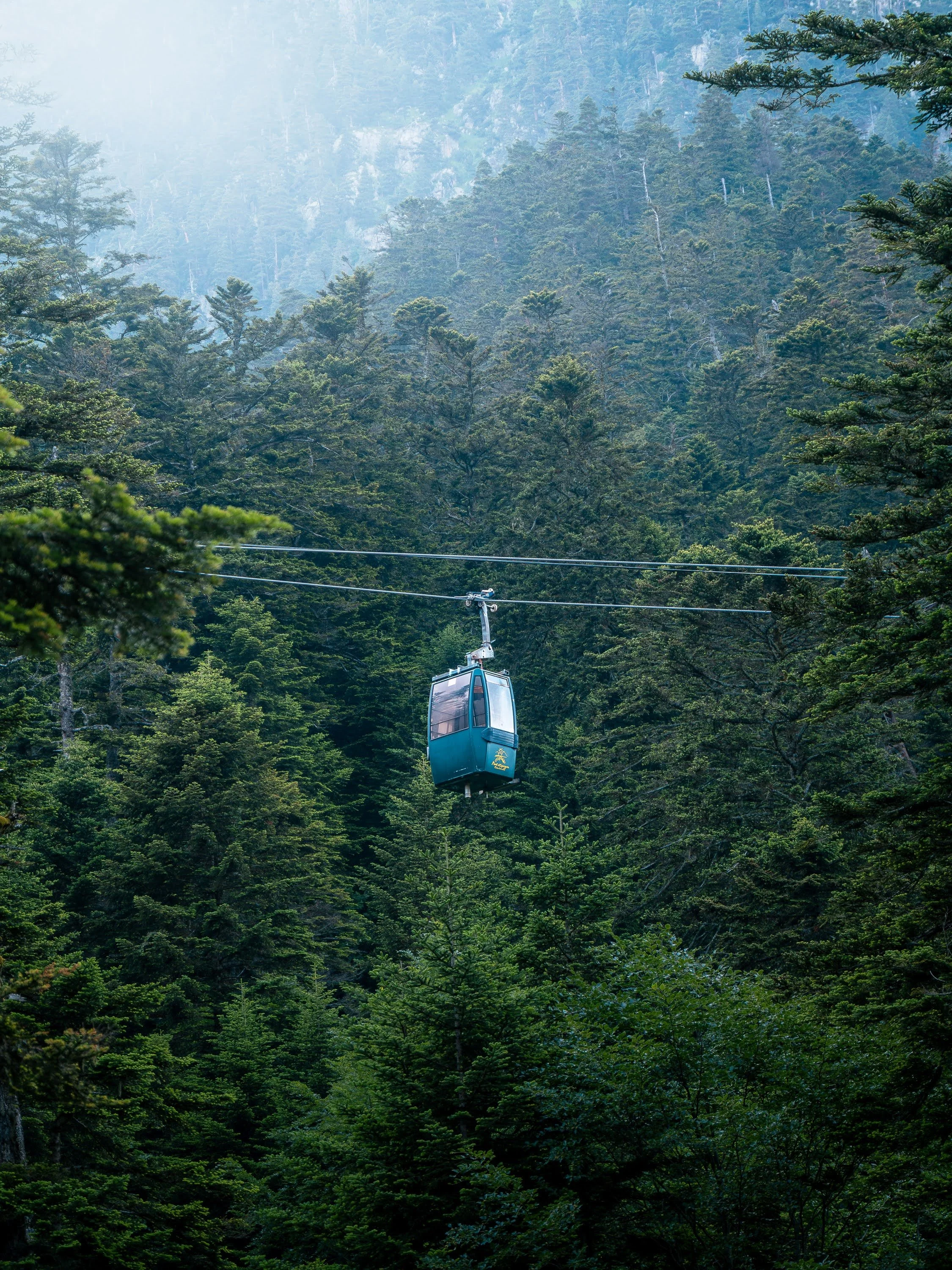 Seilbahn-Gondel zwischen grünen Tannen in mystischer Atmosphäre