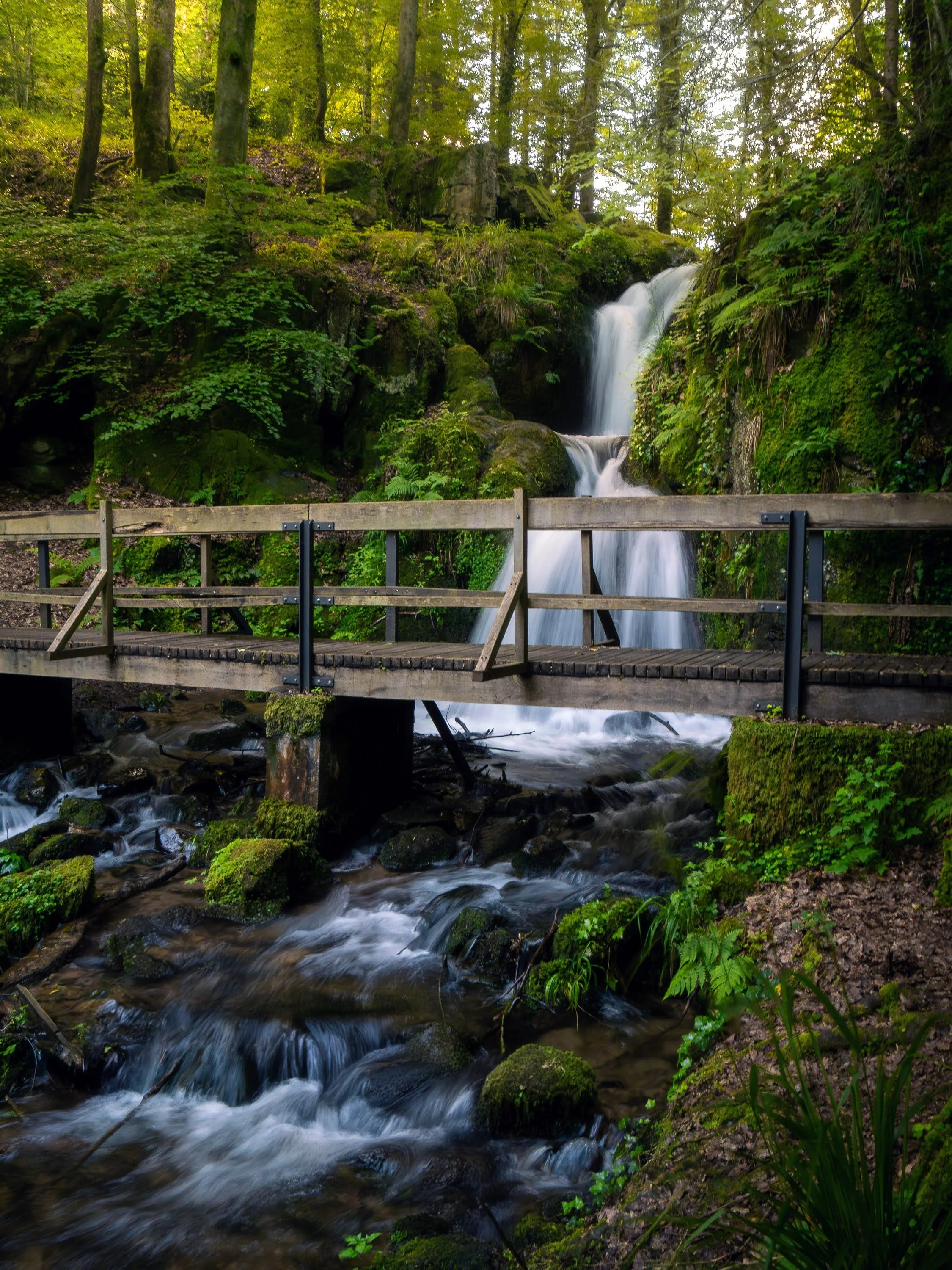 Brücke am Altersbacher Wasserfall im Schwarzwald. Sommerliche Stimmung mit leuchtendem Grün