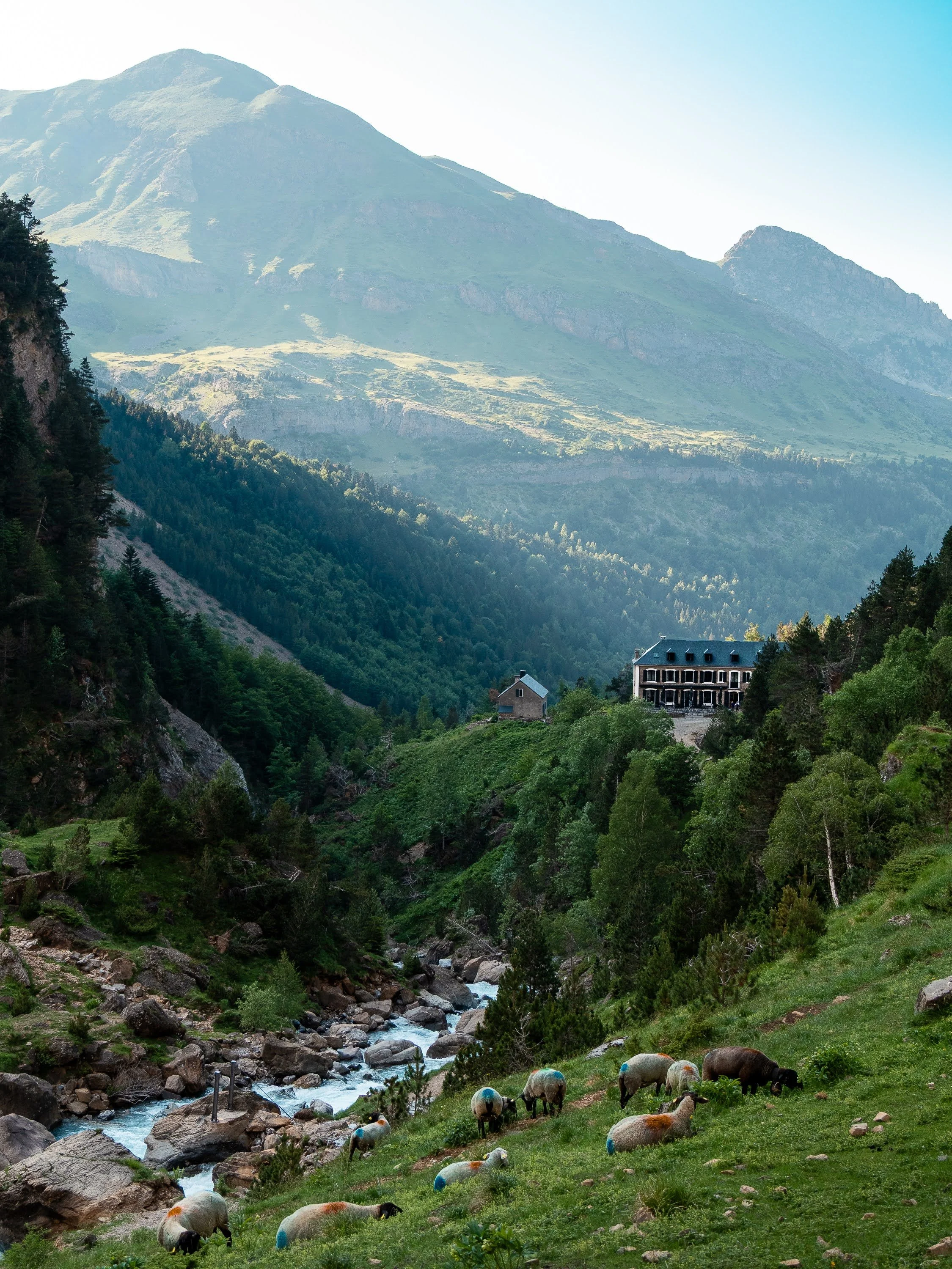 Gavarnie in den französischen Pyrenäen: Weitblick über Fluss, Scharfherde, Hotelgebäude und Berge.