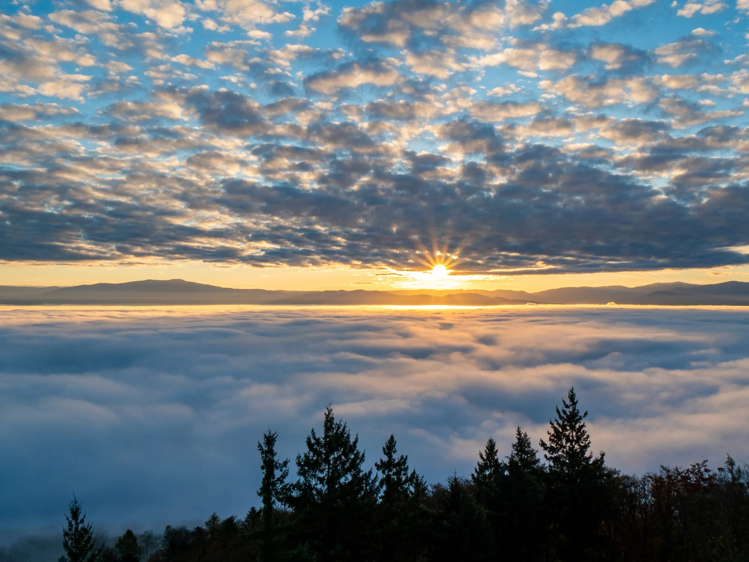 Sonnenaufgang über dem Schwarzwald und einem Nebelmeer in der Rheinebene, fotografiert vom Eichelspitz-Turm in Eichstetten.