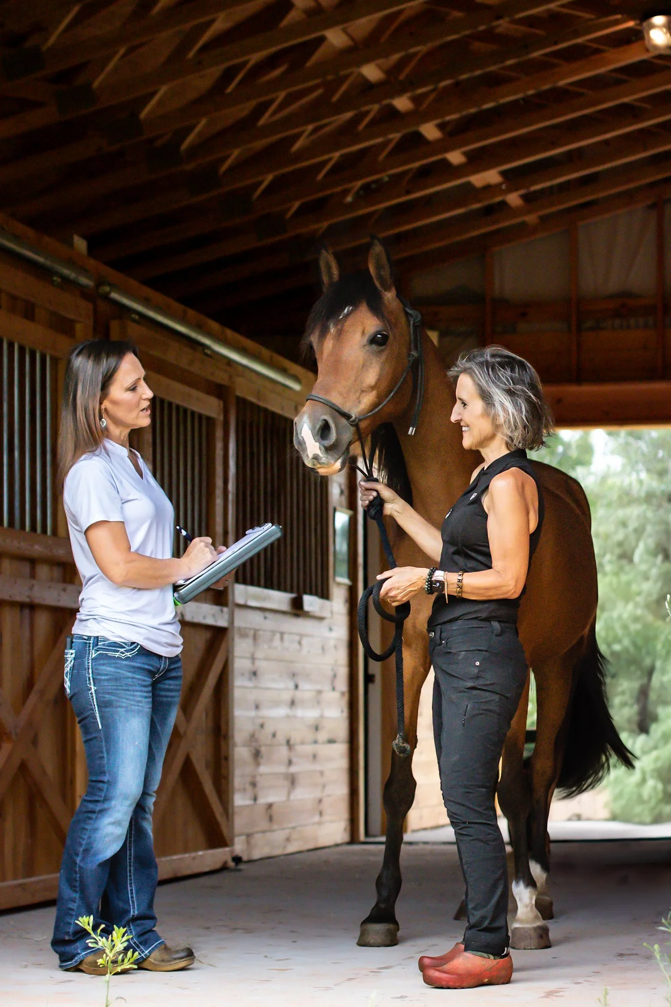 3 Horses