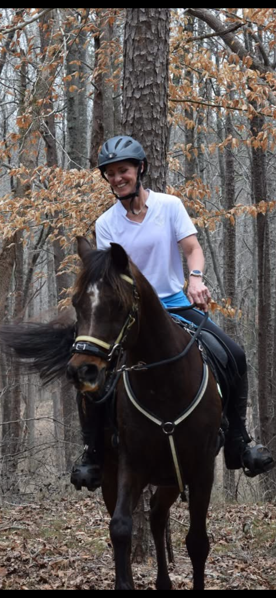 Trail Horse Nutrition: Feeding the Horse that Carries You Down the Trail