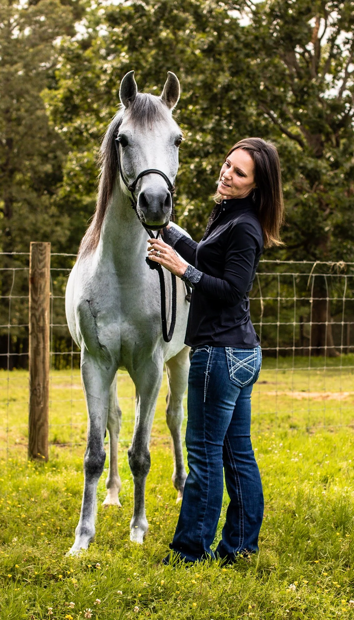 30-Day Equine Nutrition Reset