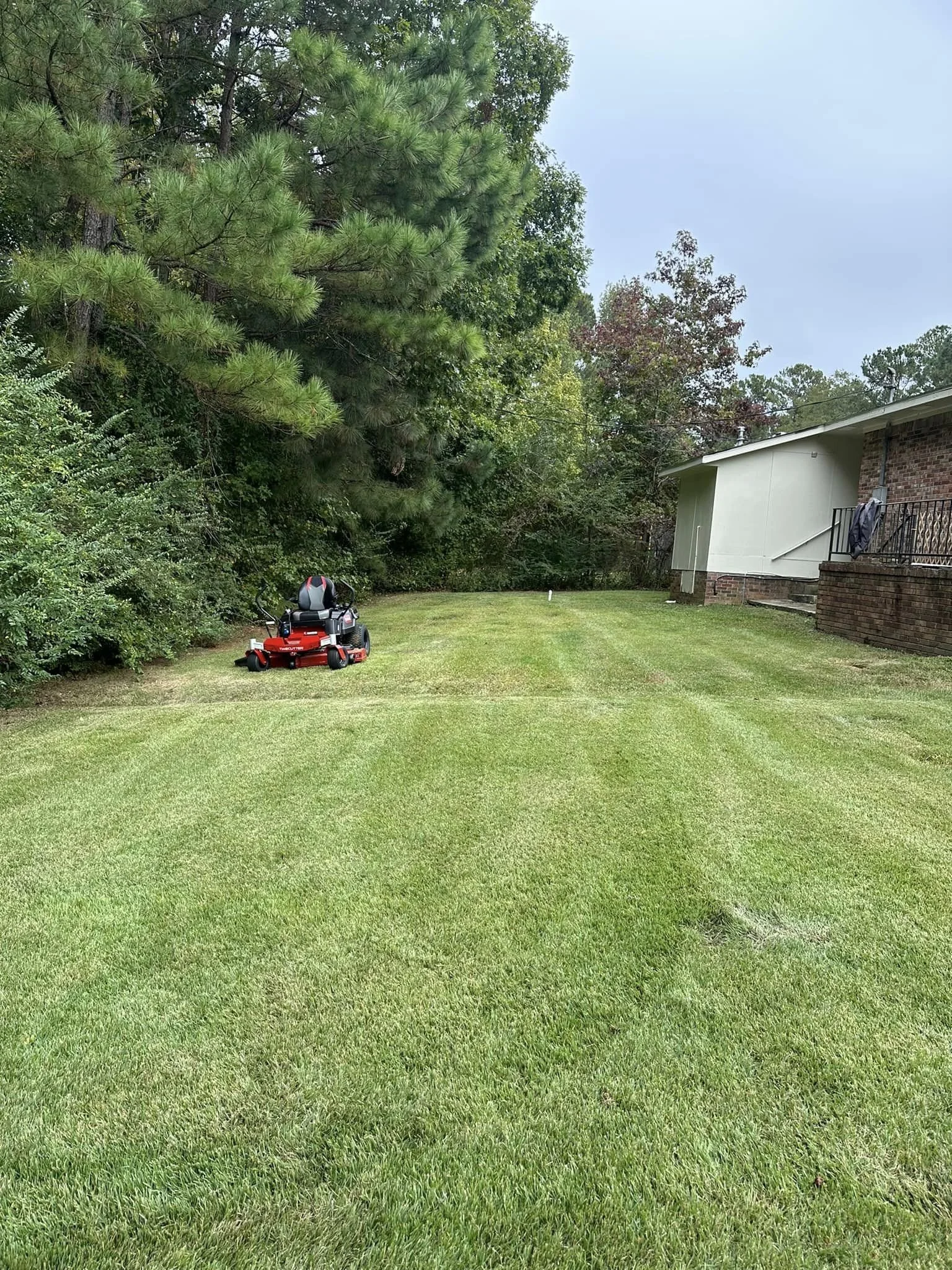 lawn mower 2.jpeg