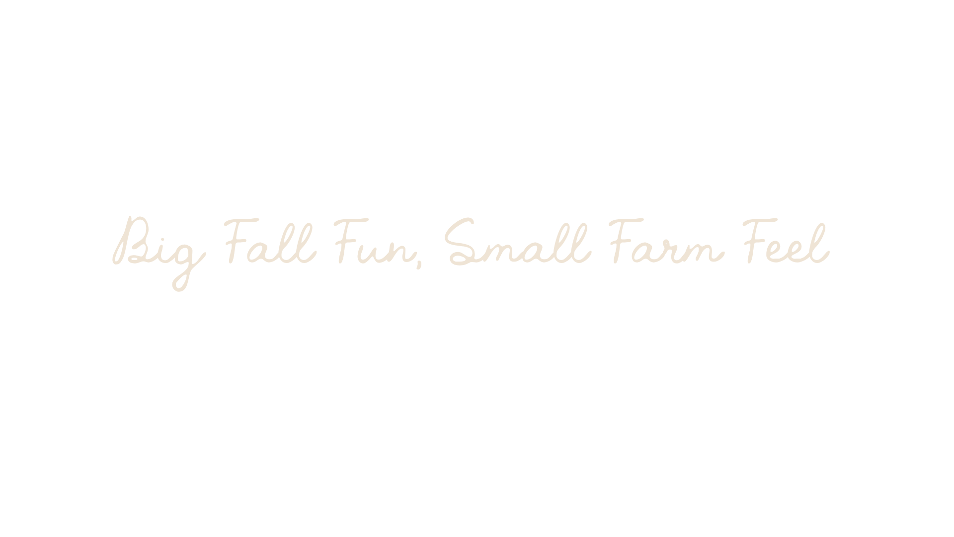 Text stating "Big, Fall Fun, Small Farm Feel" with a black background and beige cursive font.