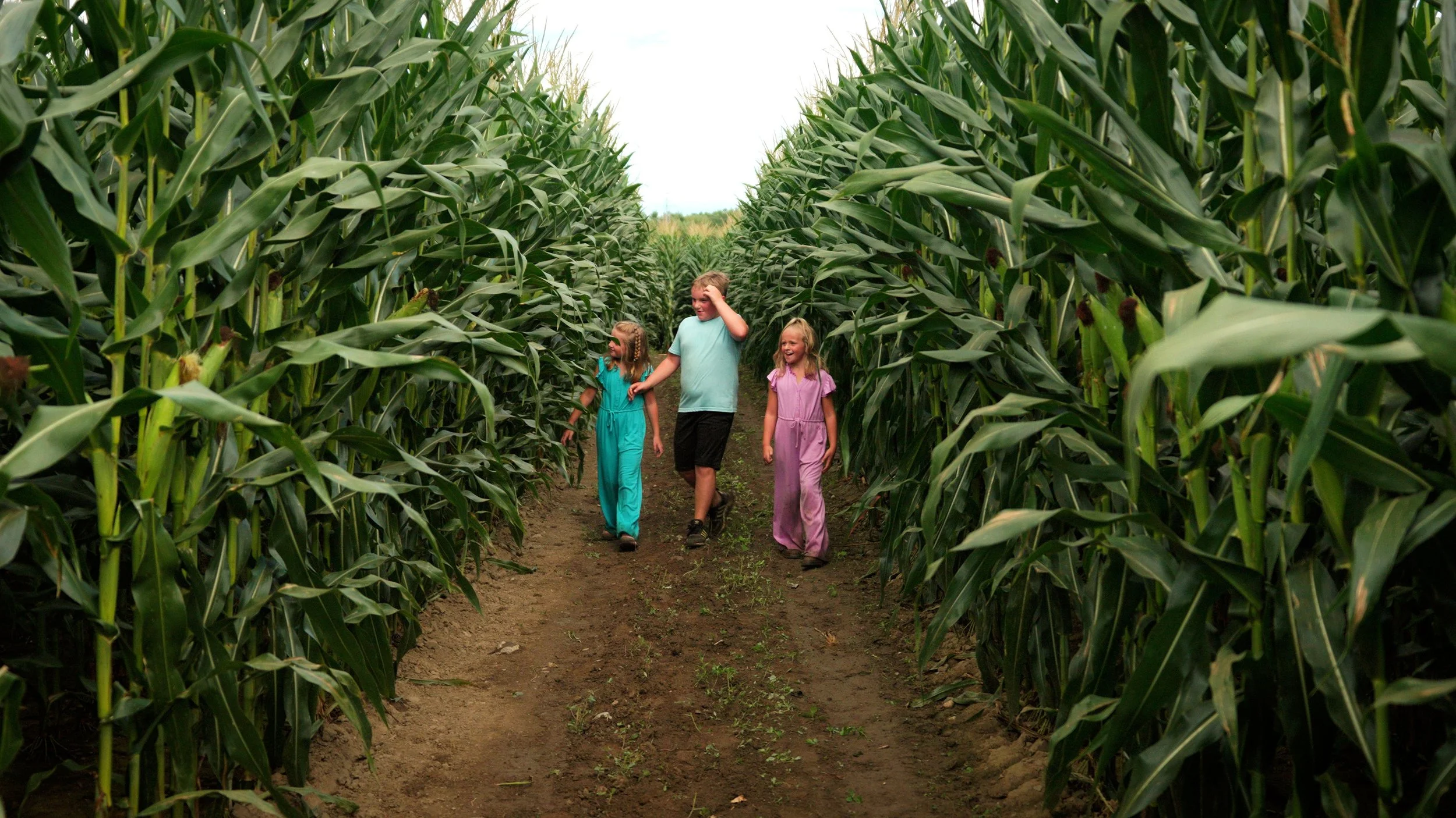 Birthday party venue at a Michigan farm