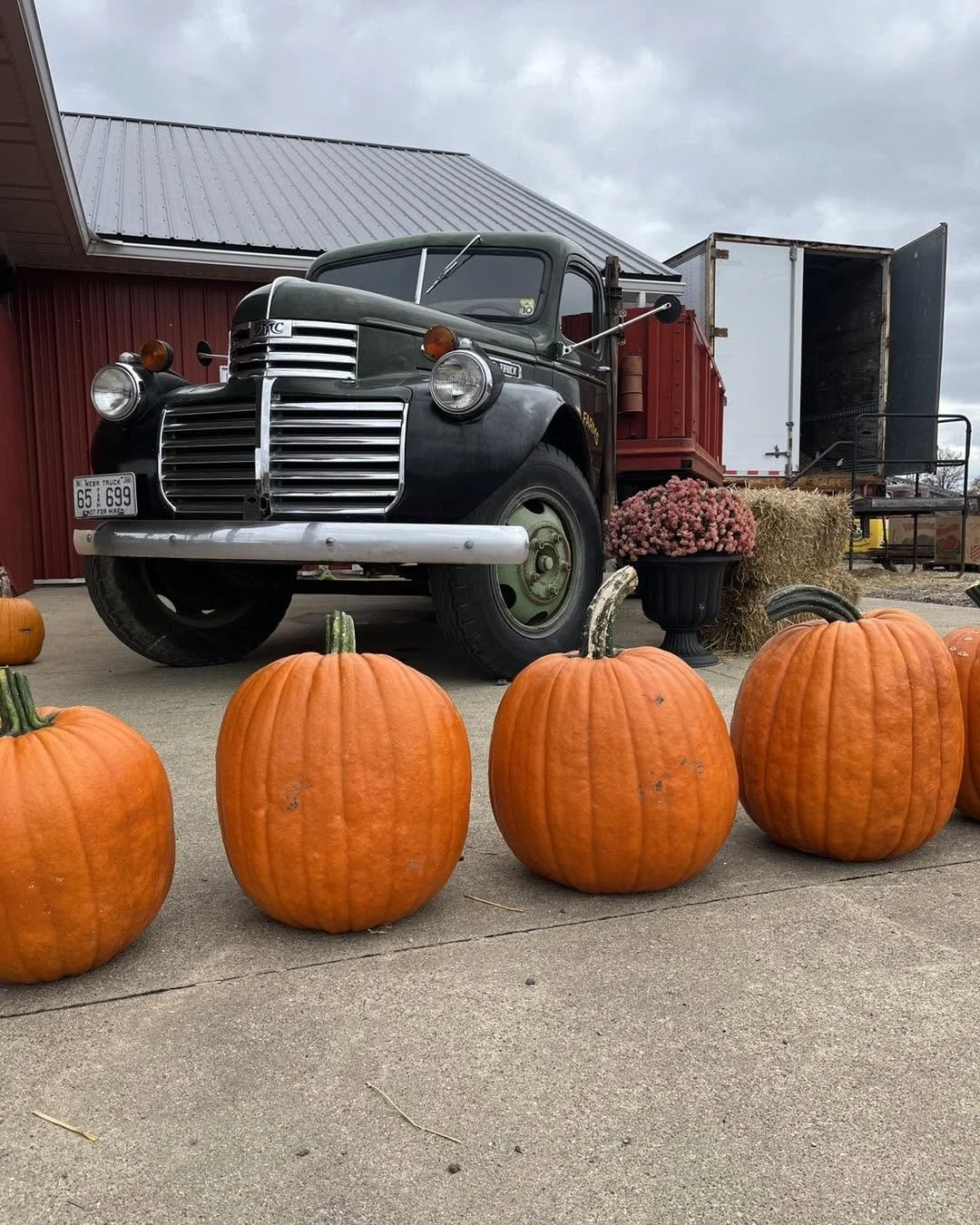 Family friendly farm near Armada Michigan
