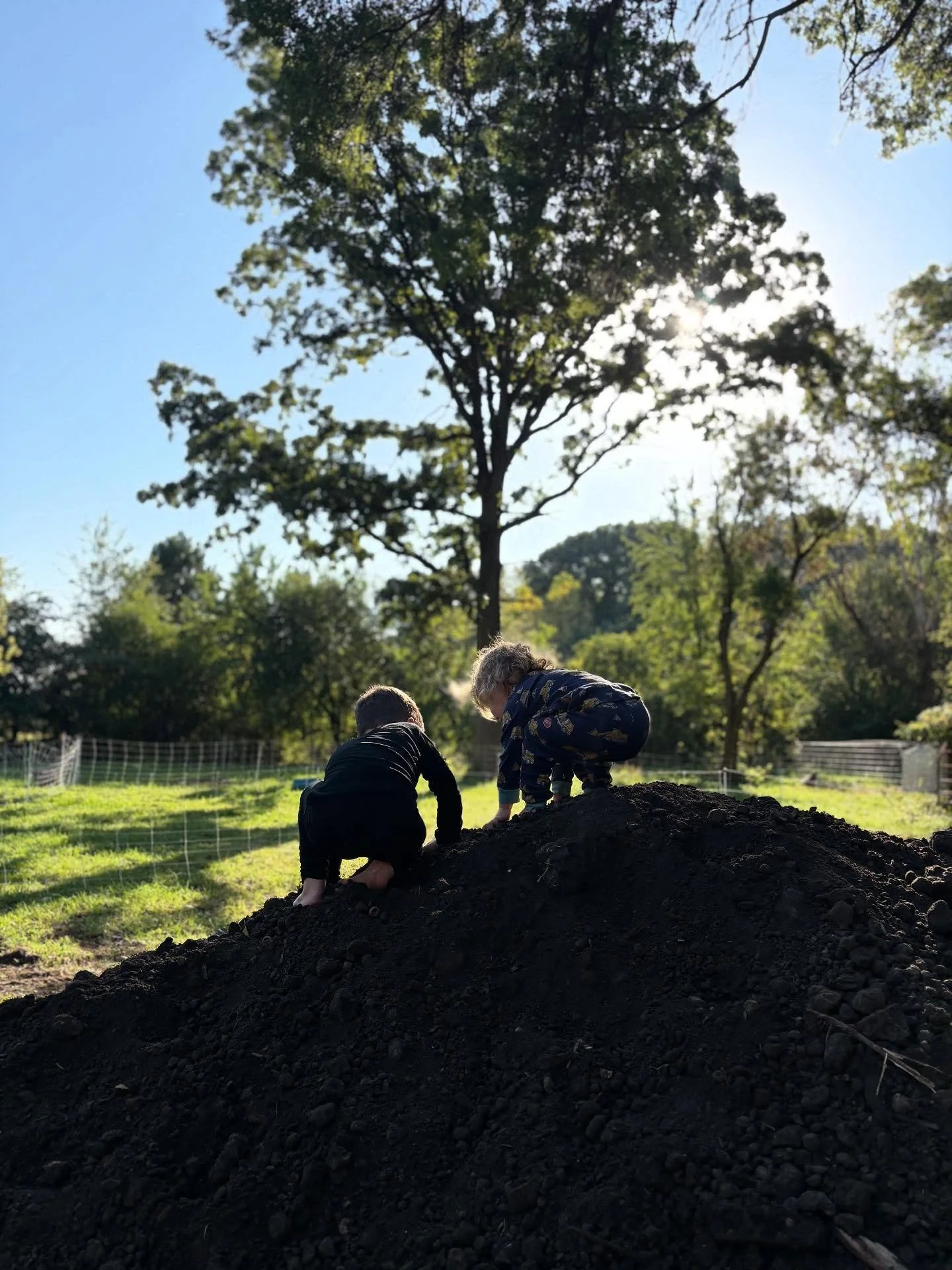 Summer&rsquo;s last lap, fall in sight.

#hundredoaksfarm #genevail #genevaillinois #midwesthomestead #regenerativeag #goatsofinstagram #chickensofinstagram
