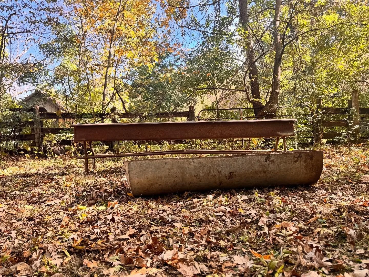 Finding all sorts of old farm equipment as the goats continue to clear out the overgrowth! 
#hundredoaksfarm #genevail #genevaillinois #midwesthomestead #farmrestoration #regenerativeagricture