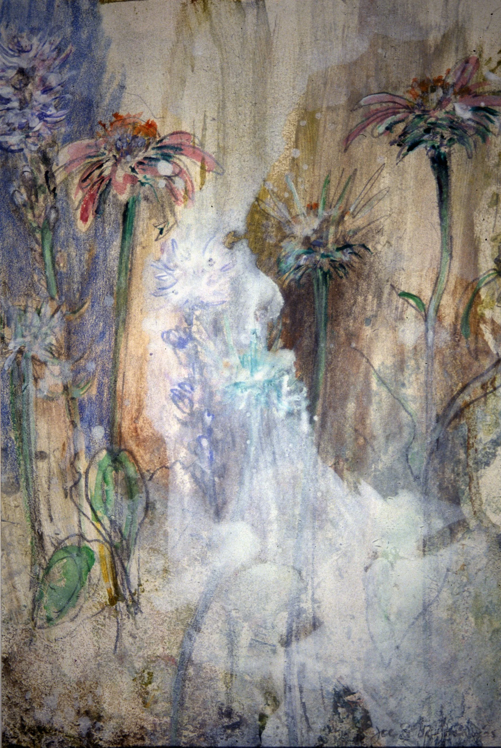FLORAL
Graphite and gesso on Bristol Board
11" x 15"
c. 2002