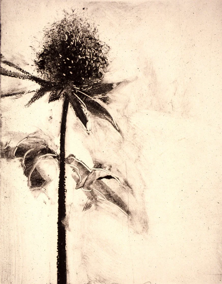 BOTANICAL
Monotype on Rives B.F.K.
4" x 6"
c. 1999
Owned by collector in Florida, USA