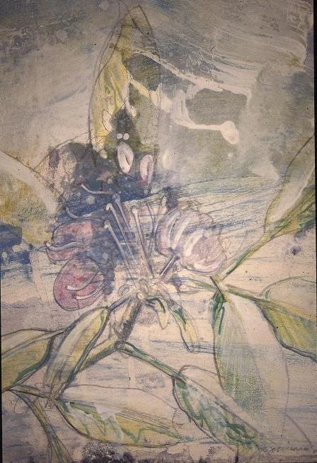 RHODODENDRON
Graphite and gesso on Bristol Board
11" x 15"
c. 2002