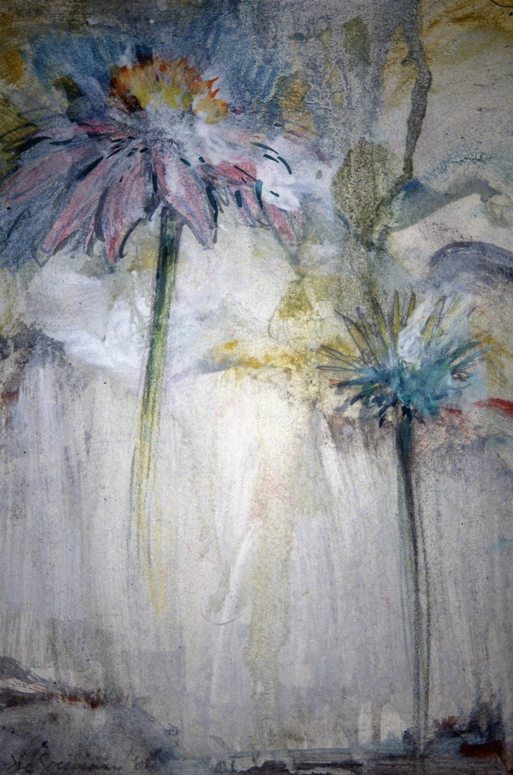 FLORAL
Graphite and gesso on Bristol Board
11" x 15"
c. 2002