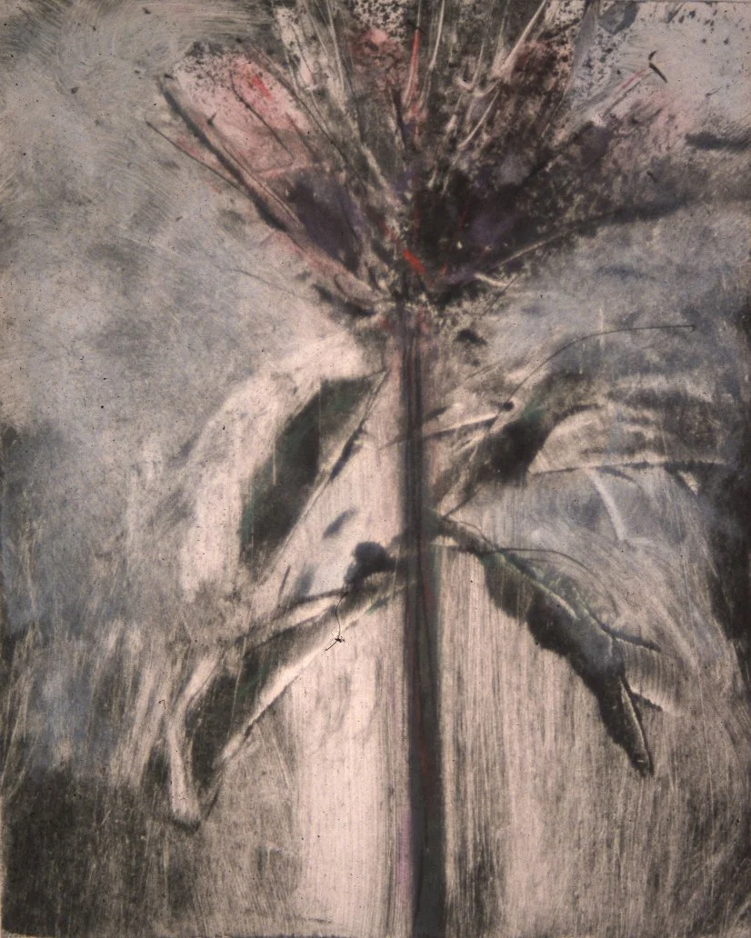 BOTANICAL
Monotype on Rives B.F.K.
4" x 6"
c. 1999