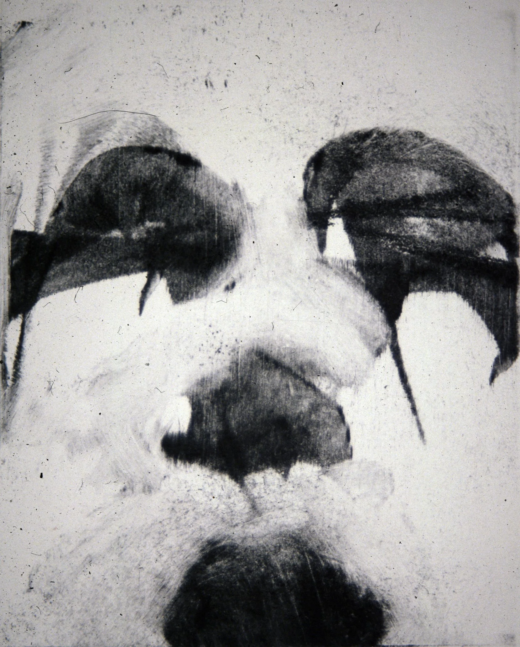 FACED
Monotype on Rives B.F.K.
6" x 8"
c. 1999