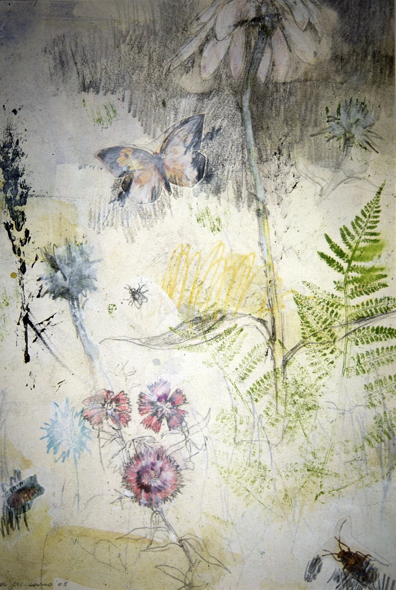 FLORAL
Graphite and gesso on Bristol Board
11" x 15"
c. 2002
Collection of Amy B. of North Carolina, USA