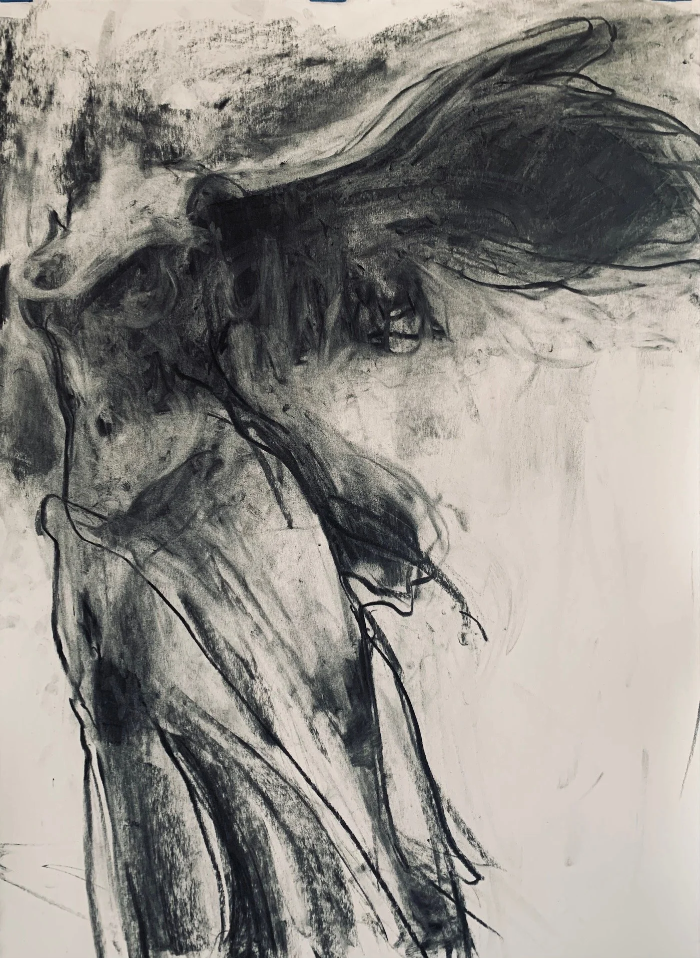 CHARRED VICTORY
Charcoal on Stonehenge
22" x 30"
03/10/2021