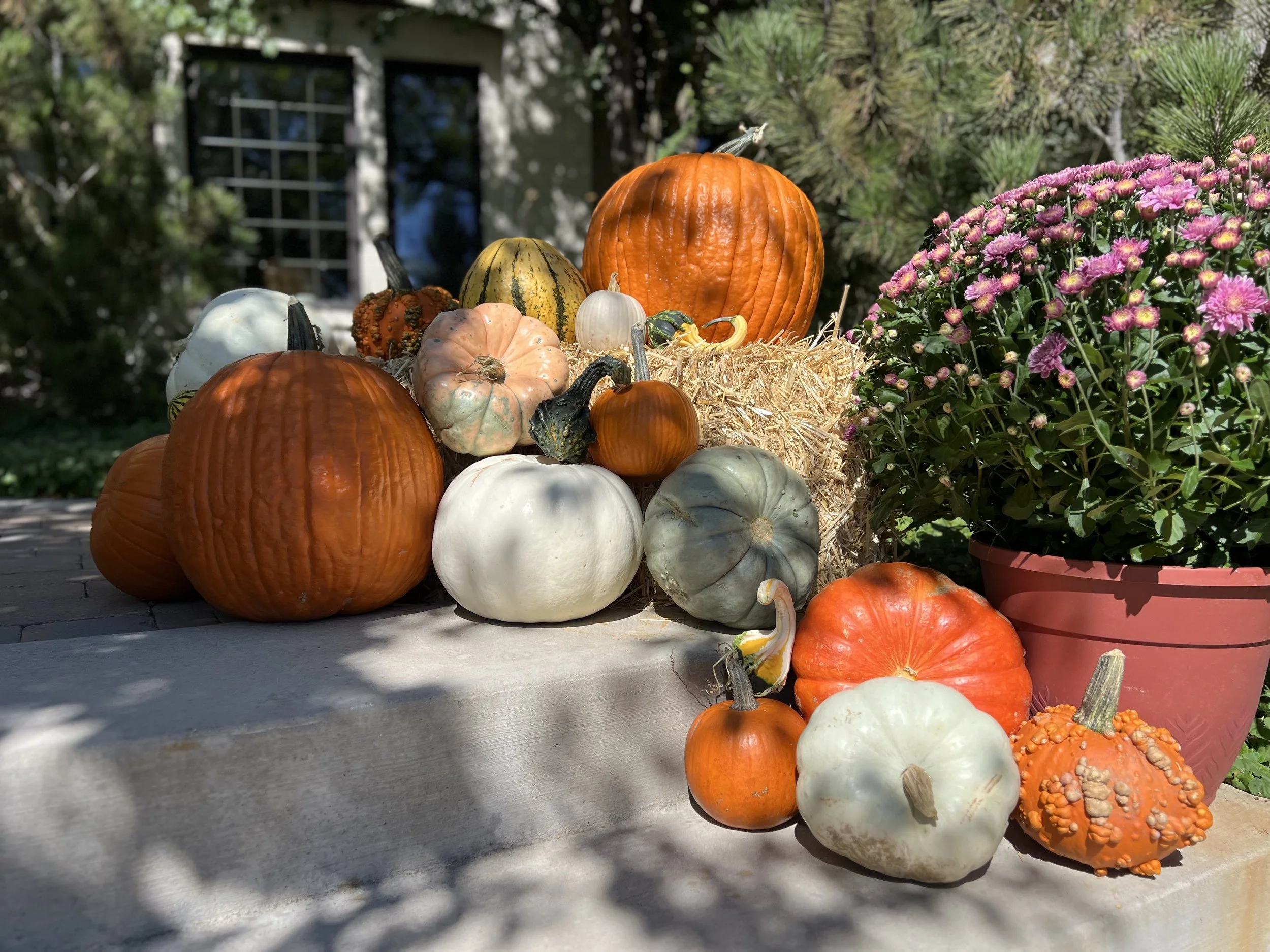 IMG_6212.jpeg