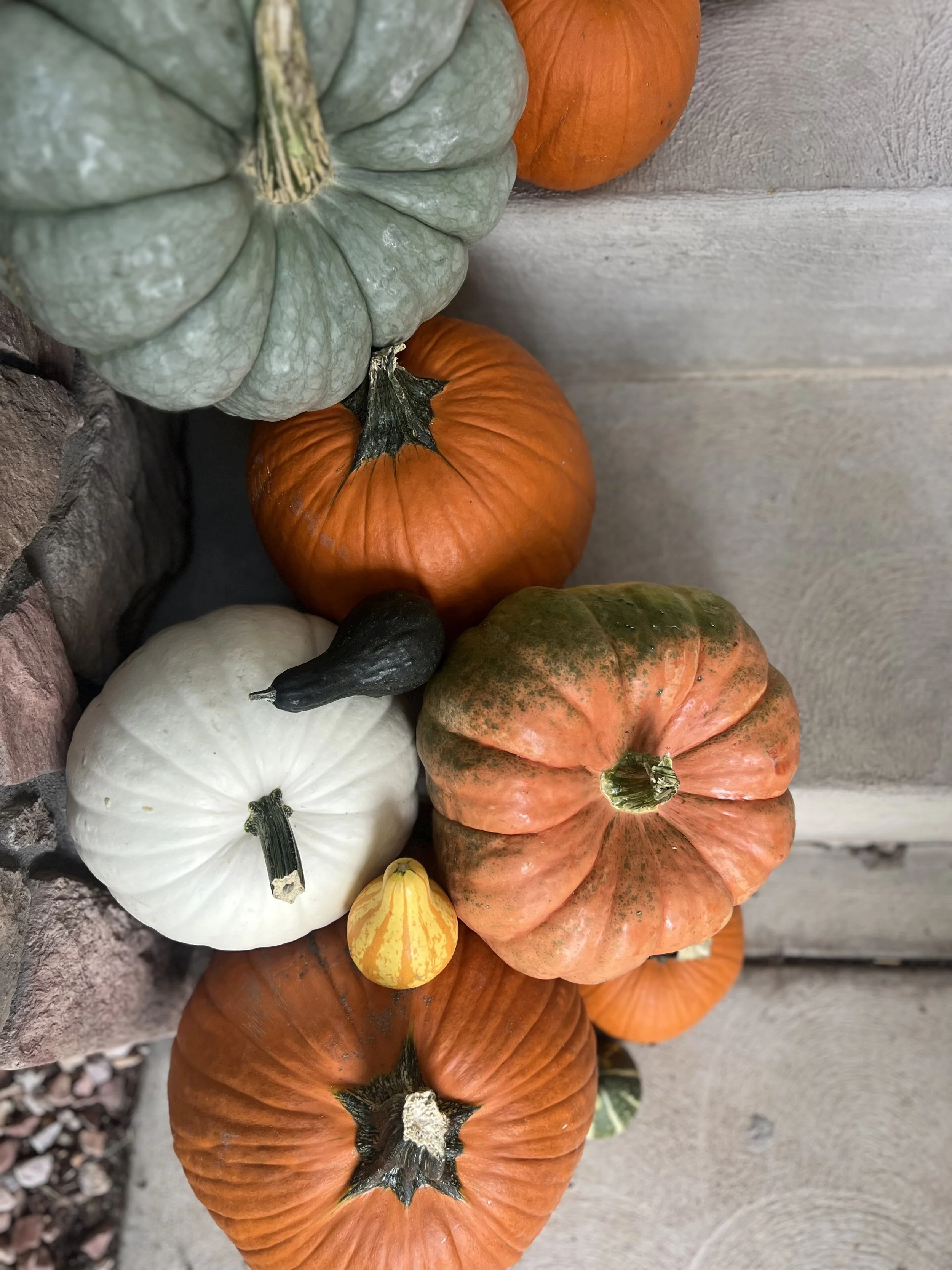 IMG_5092.jpeg