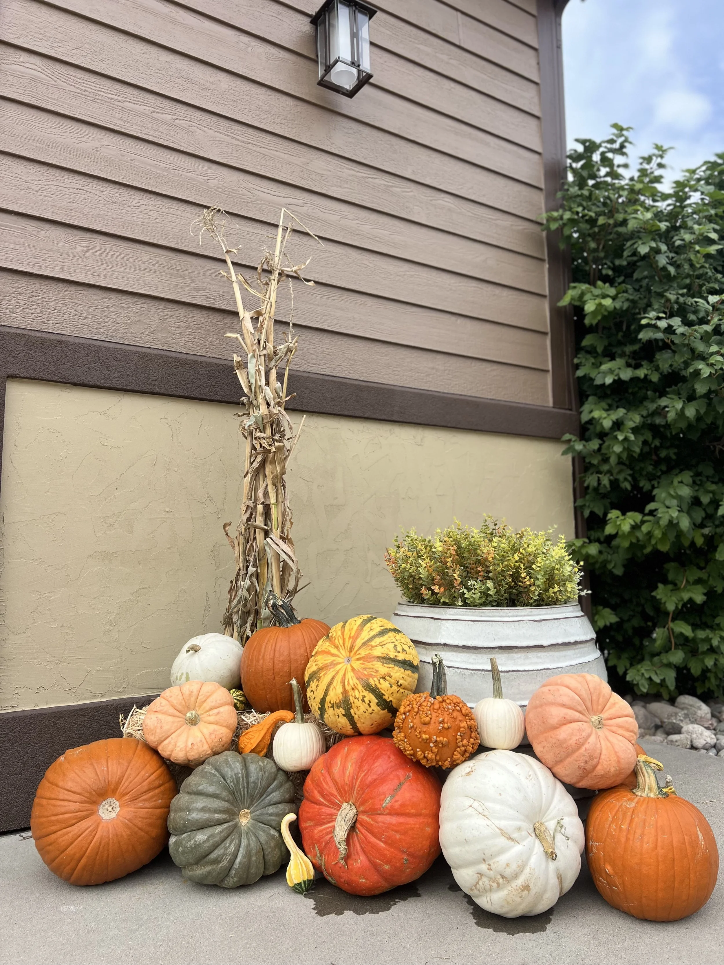 IMG_6355.jpeg