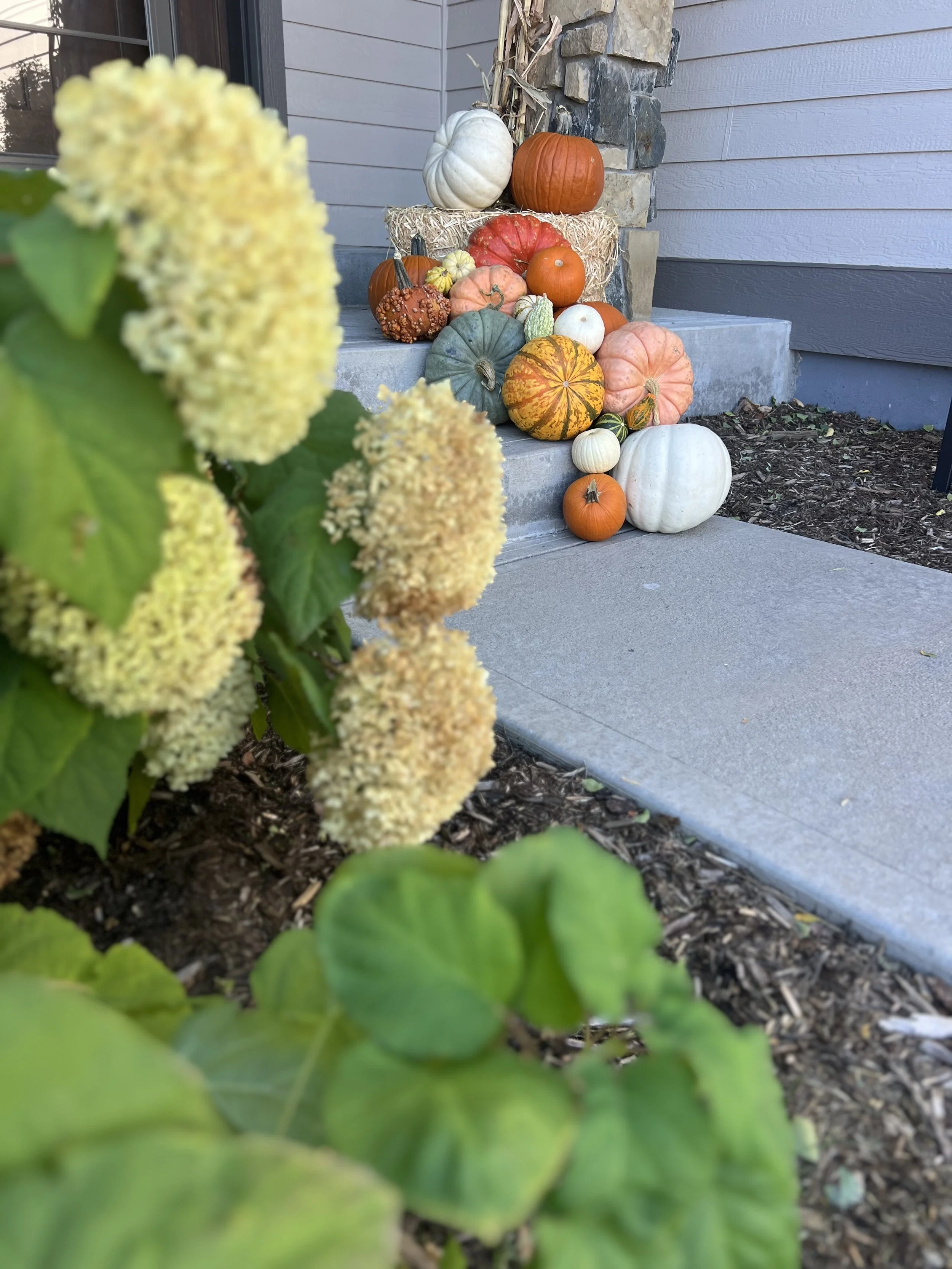 IMG_6506.jpeg