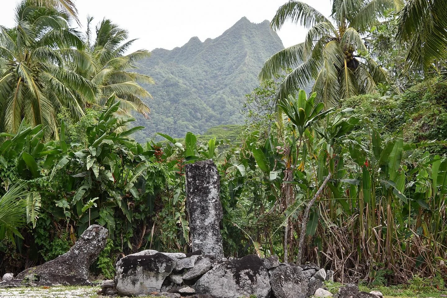 Ancient ruins and other scenes from Rarotonga. The second photo is a historic Ariki&rsquo;s (chieftain&rsquo;s) seat. Several photos depict various marae, sacred meeting spaces built from coral and basalt. 

#archaeology #history #polynesia #worldhis