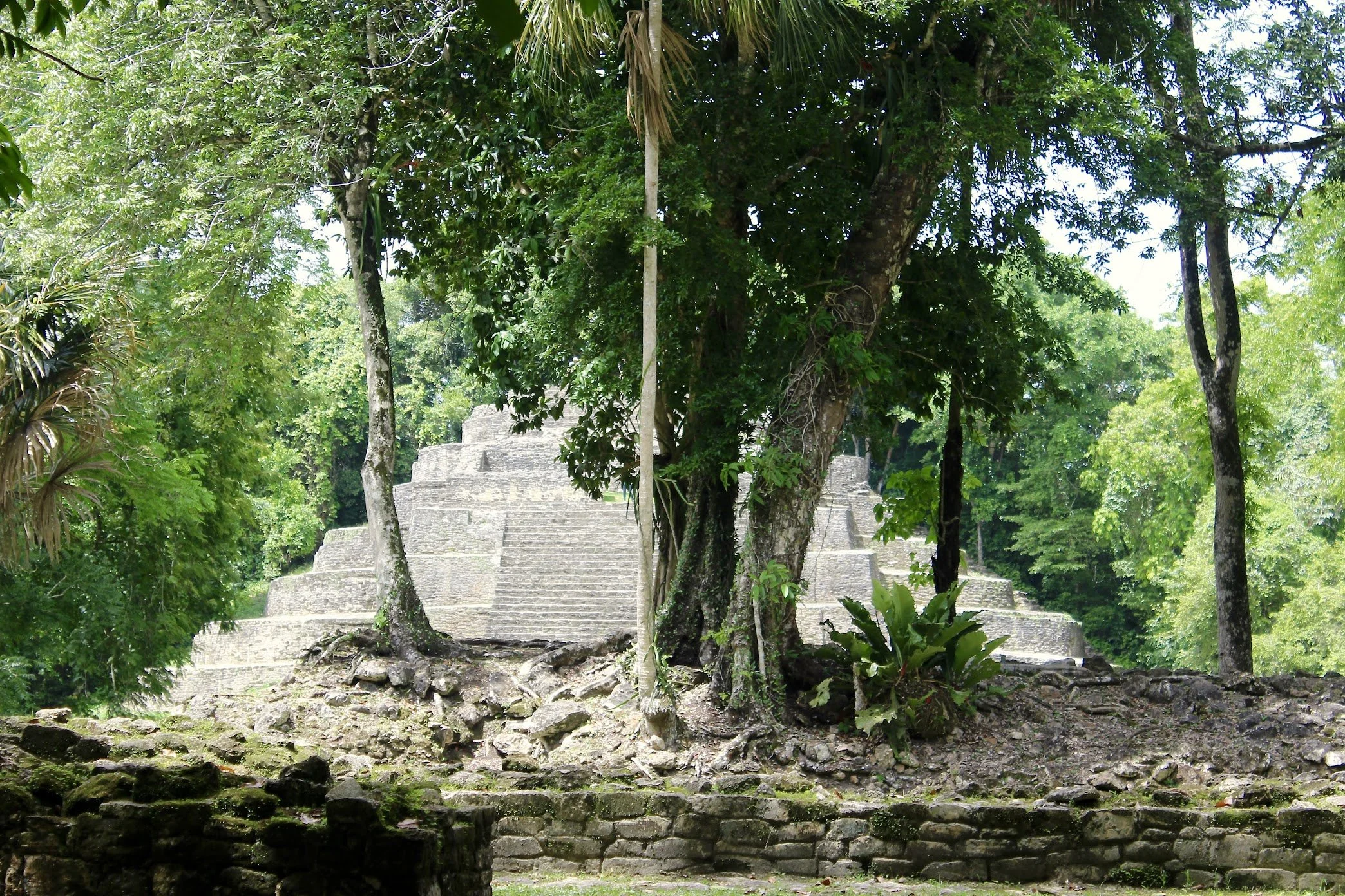 Excavations at the Maya City of Xnoha
