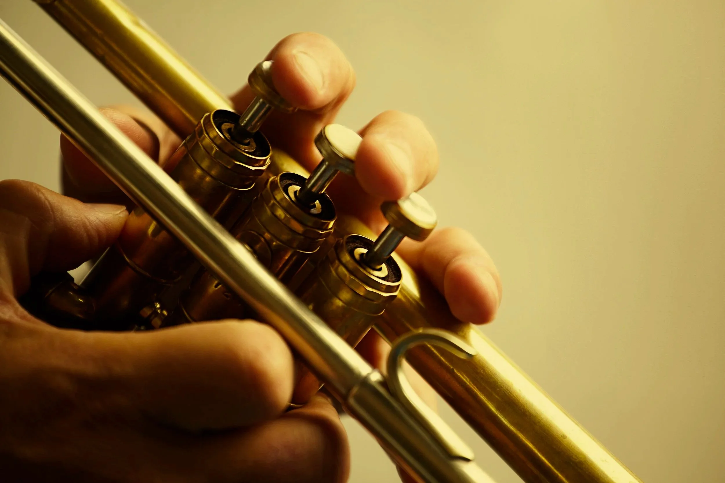 Dixieland private concert - OH Living Mt Pleasant