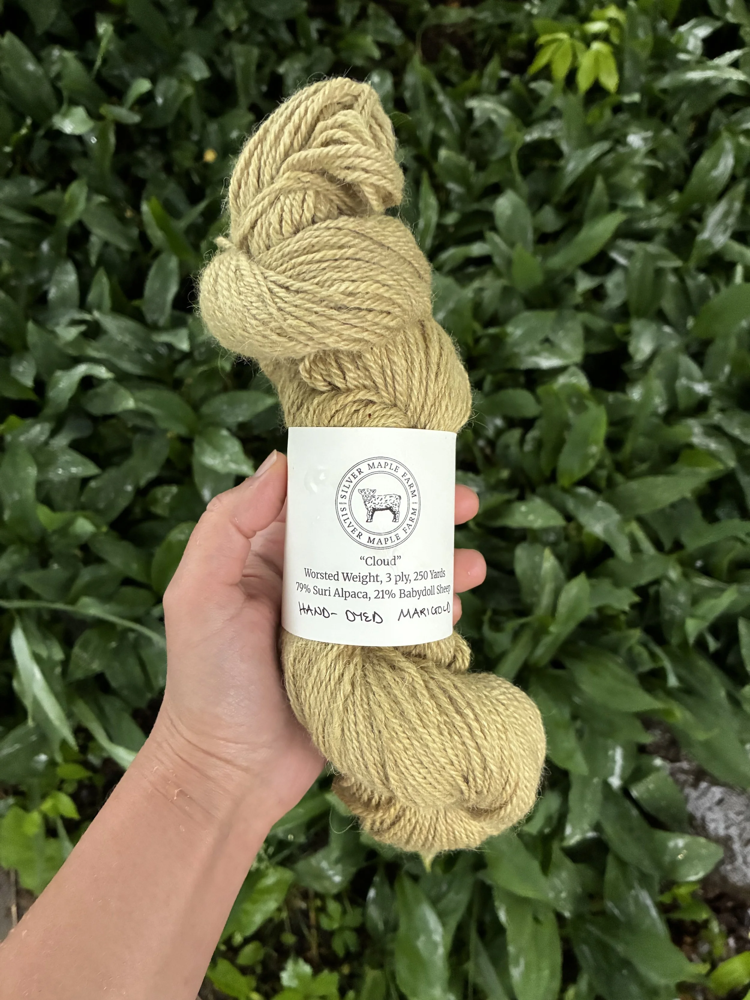 Alpaca Blend Yarn - "Marigold" - Sportweight