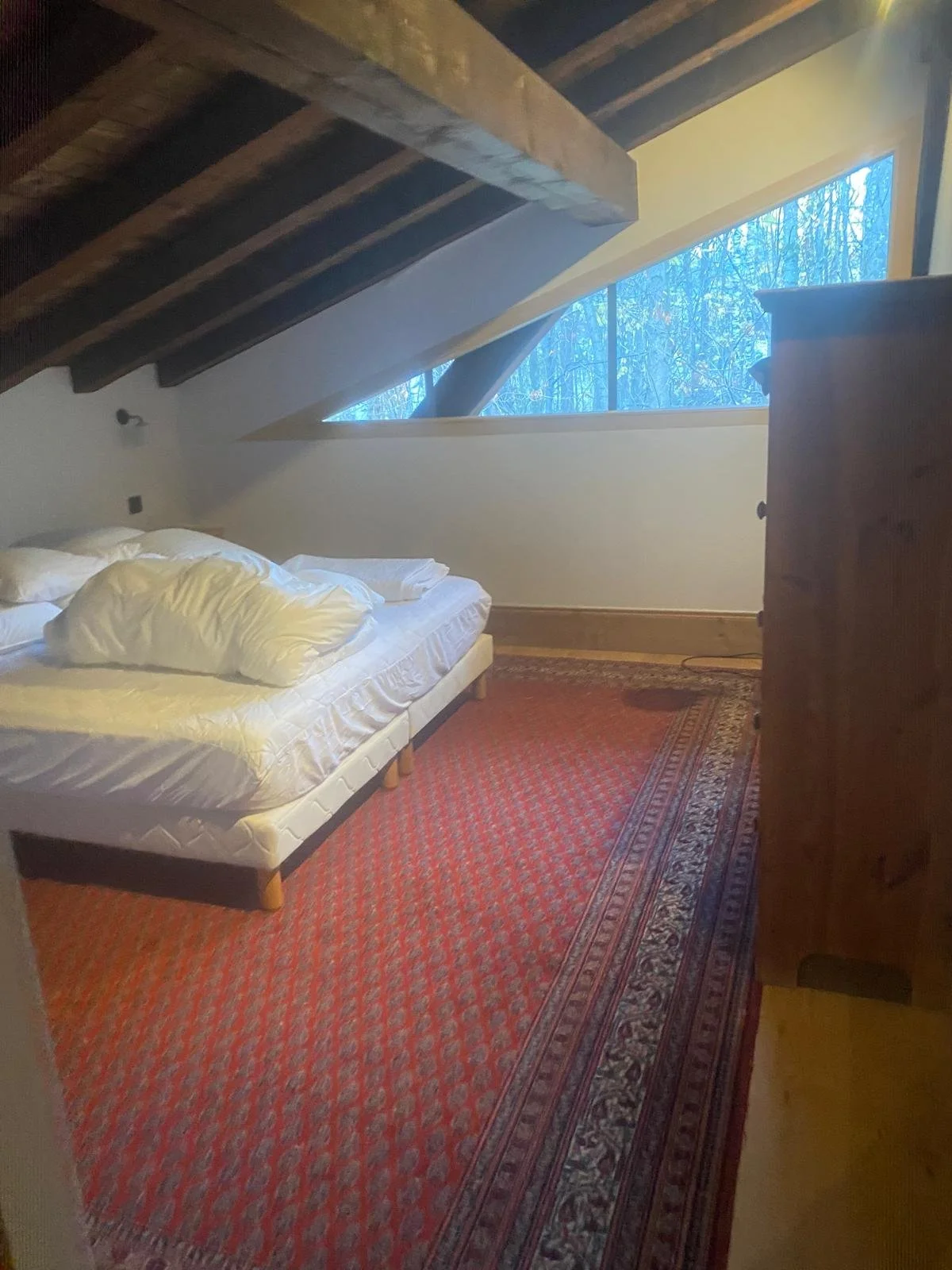 PHOTO-2025-10-08-21-18-05 4.jpg