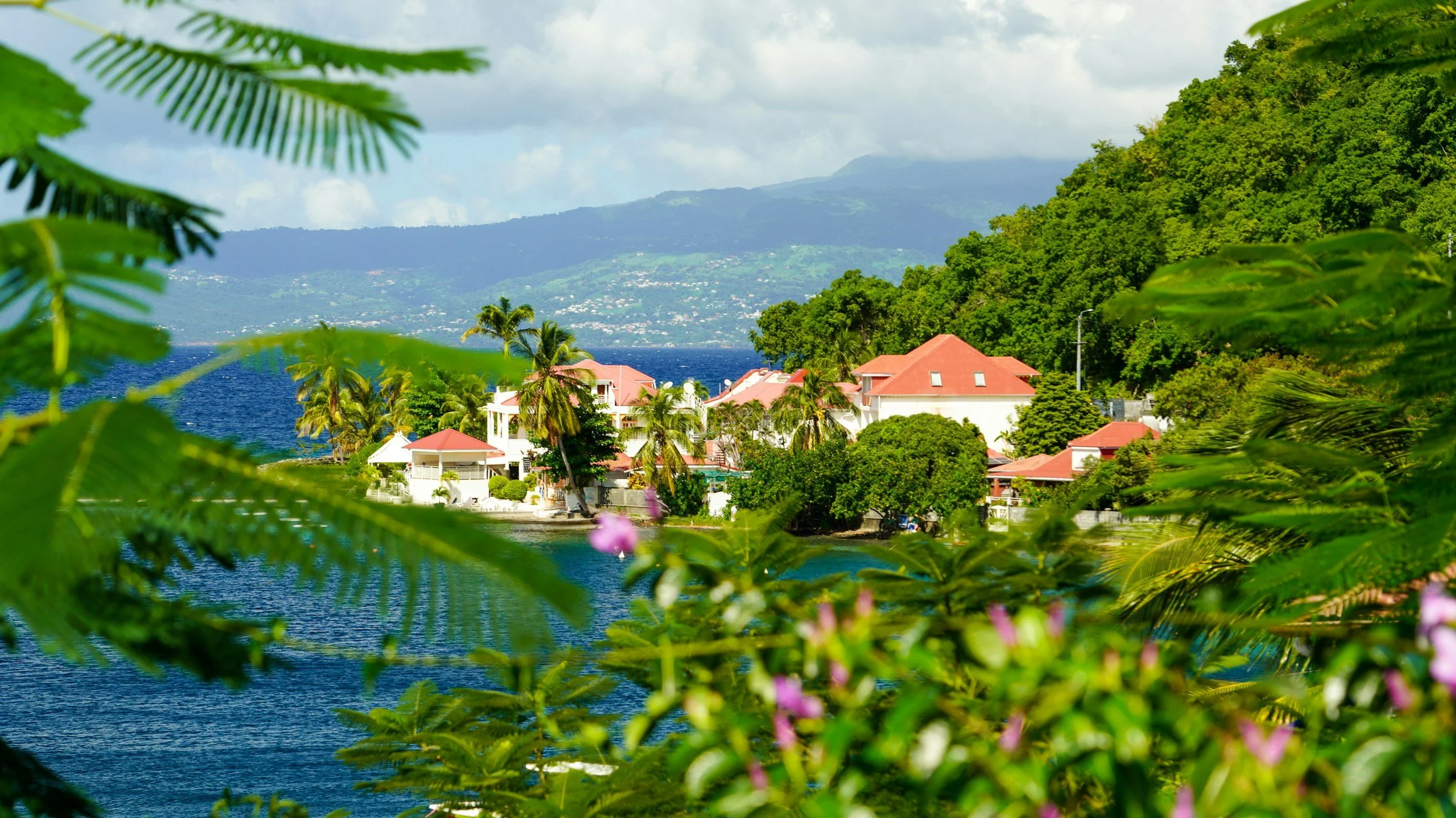 A Traveler's Guide to Guadeloupe