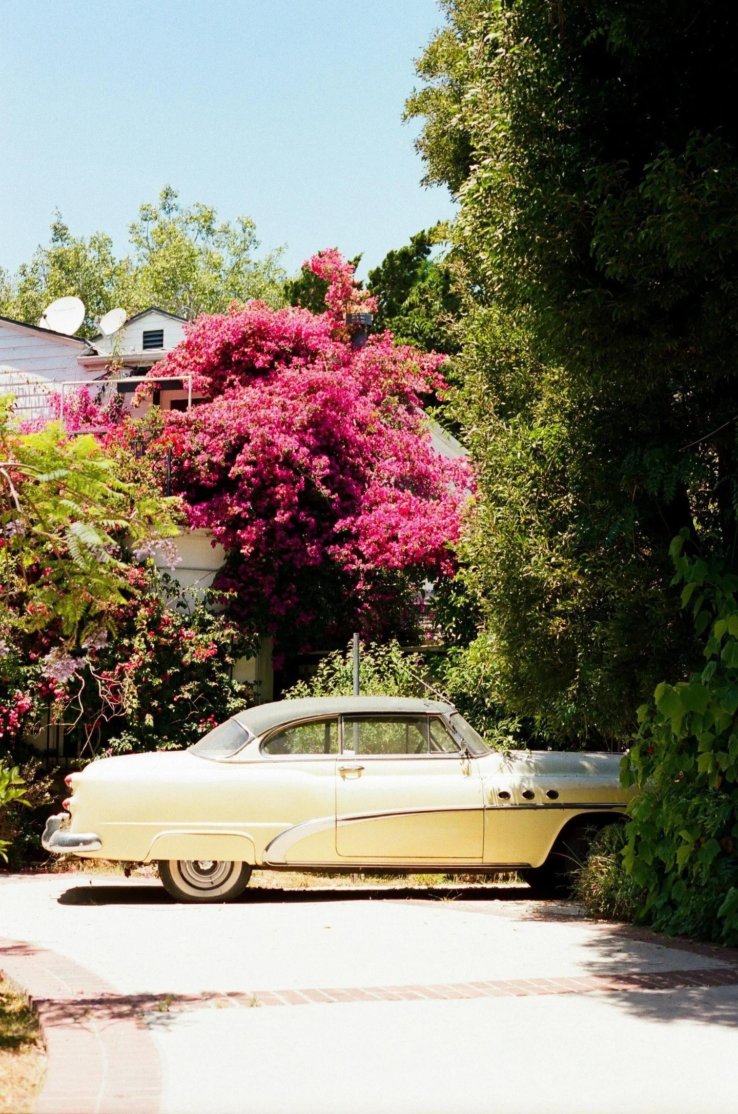 Some places don&rsquo;t just look beautiful &mdash; they feel scripted. 🎬✨
The way the light hits, the background hum, the way you just fit in the frame&hellip;

📌 Save this for your next trip moodboard
💬 Tell me: Where was your movie-scene moment