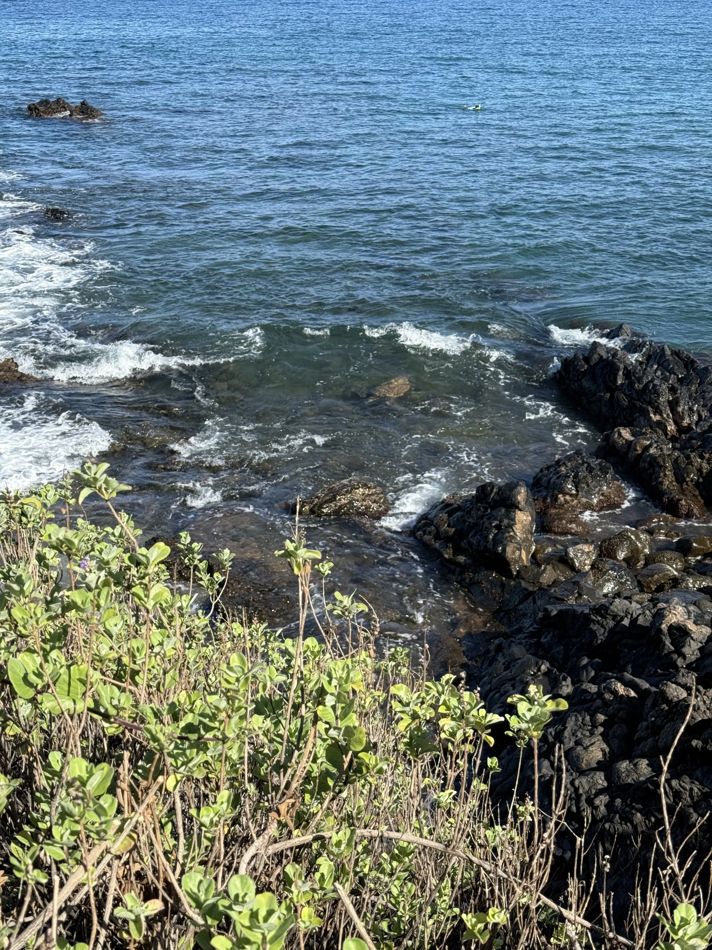 From Gold Rush to Golden Hour: The Epic Saga of California 