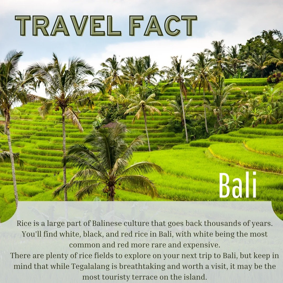 Bali&rsquo;s rice terraces aren&rsquo;t just gorgeous&mdash;they&rsquo;re the soul of the island! 🌾✨
Here, rice means ceremony, community, and tradition. Walk the fields at sunrise, taste home-cooked nasi goreng, and discover why rice in Bali is so 