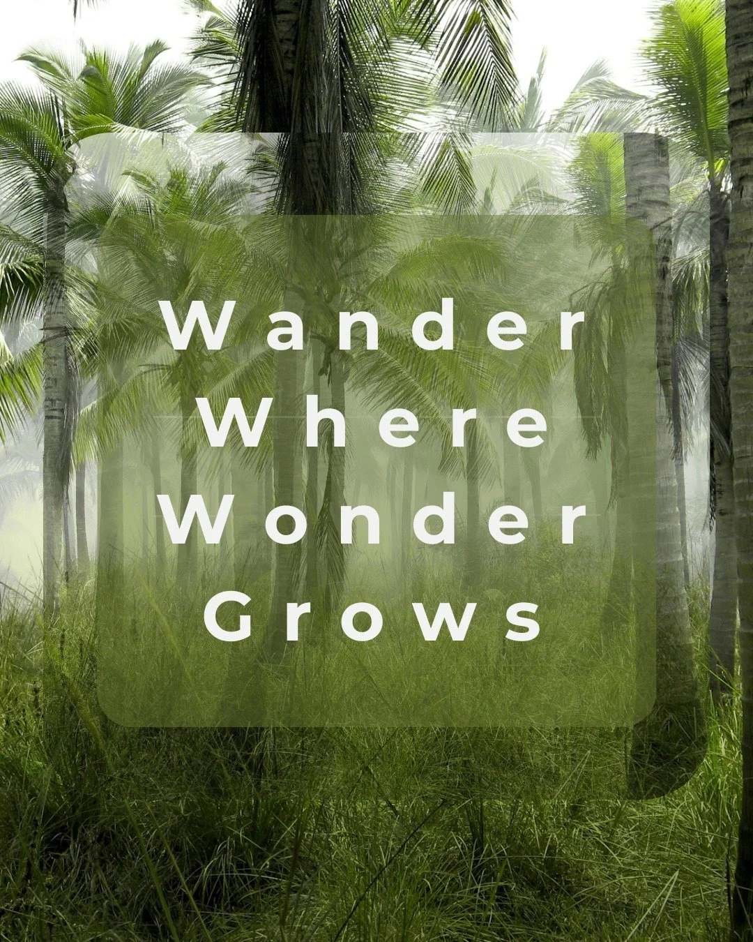 Some journeys aren&rsquo;t about checking a place off your list&mdash;they&rsquo;re about letting the world quietly move you. Picture yourself wandering beneath ancient, mist-shrouded trees, where every breath feels restorative and every step sparks 