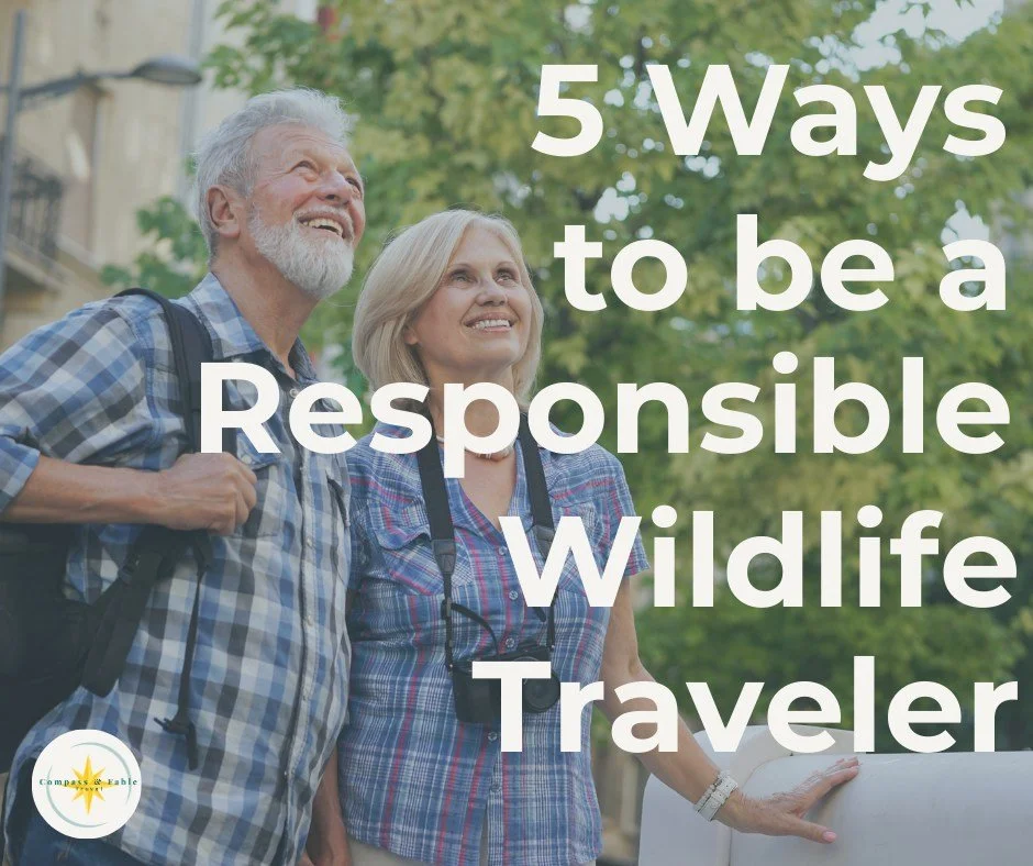 Responsible Wildlife Tourism Day

Wild hearts belong in wild places. 🐾

Today (and every day), I team up with ethical icons like Intrepid, G Adventures, and National Geographic Expeditions to design once-in-a-lifetime wildlife adventures&mdash;alway