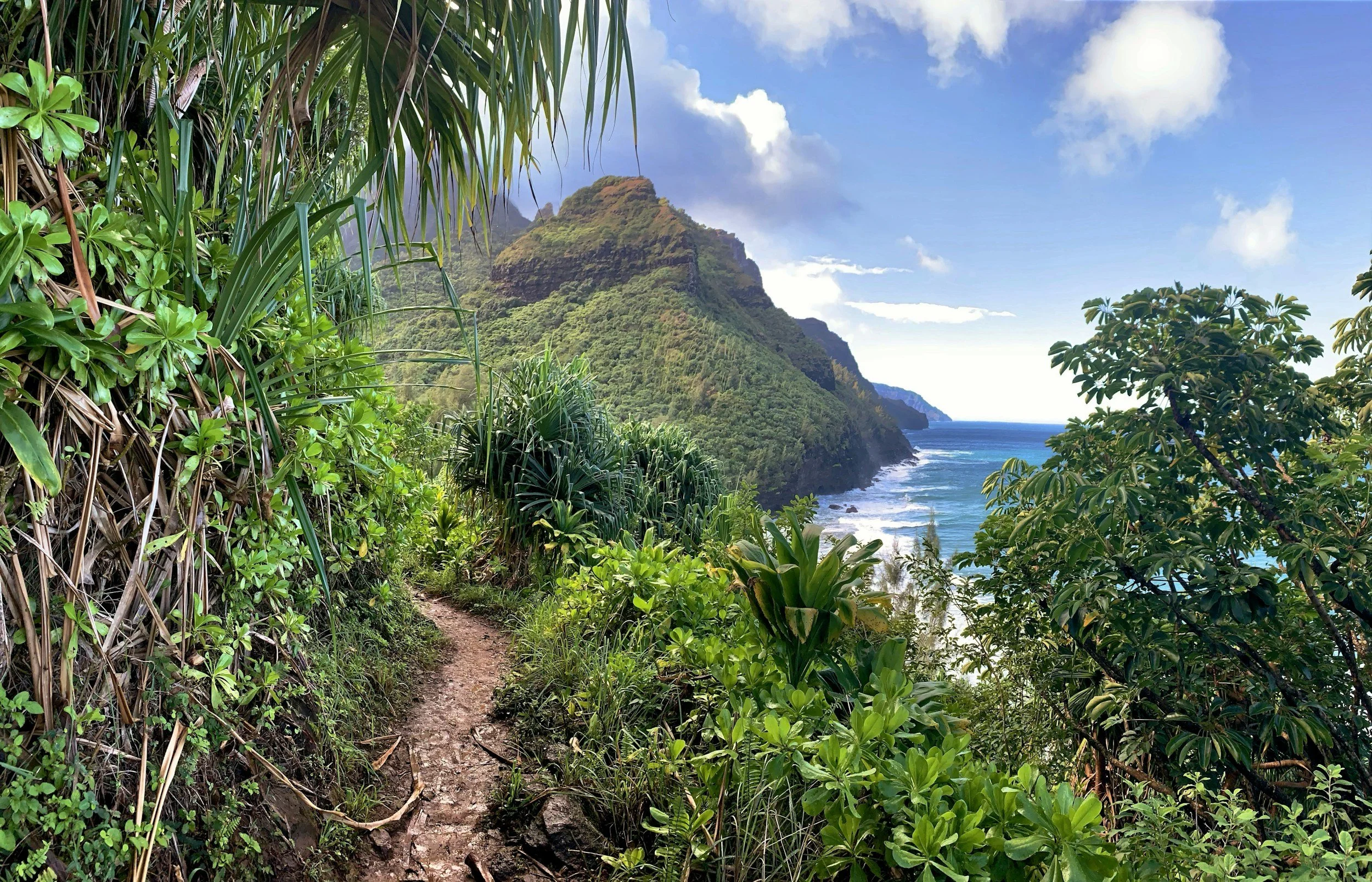 Kauai appeals to travelers who are drawn to dramatic scenery and a quieter, more nature-centered experience. With its cliffs, canyons, waterfalls, and lush landscapes, it is especially rewarding for those who want Hawaii to feel immersive and visuall