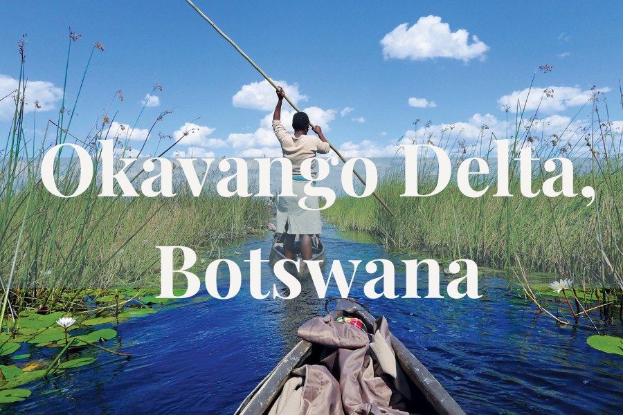  The Okavango Delta is a lush inland delta that creates an extraordinary contrast to Botswana’s otherwise dry terrain. It is renowned for luxury safari camps, mokoro excursions, and exceptional wildlife viewing in a peaceful, water-based setting. 
