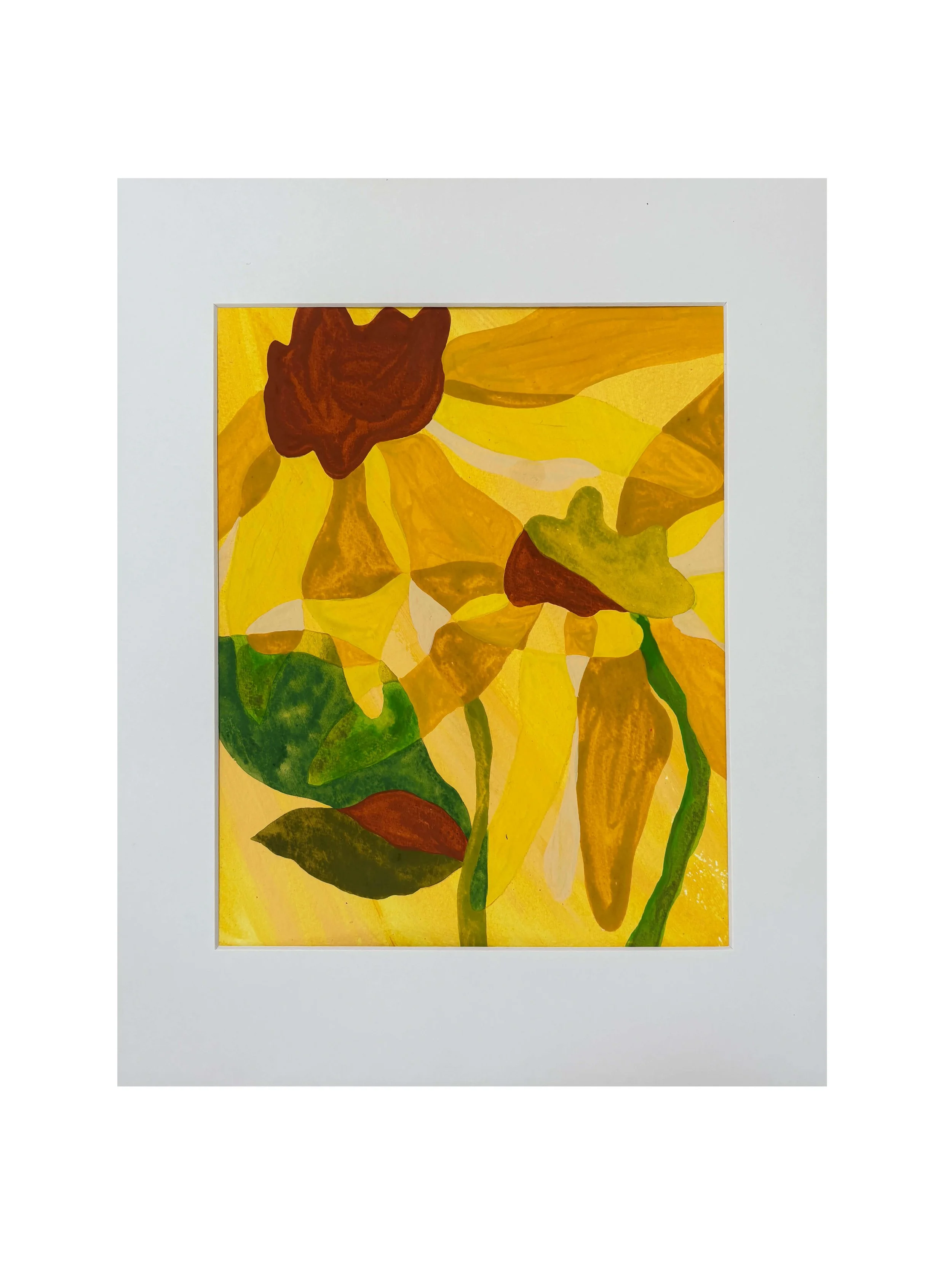 Rudbeckia