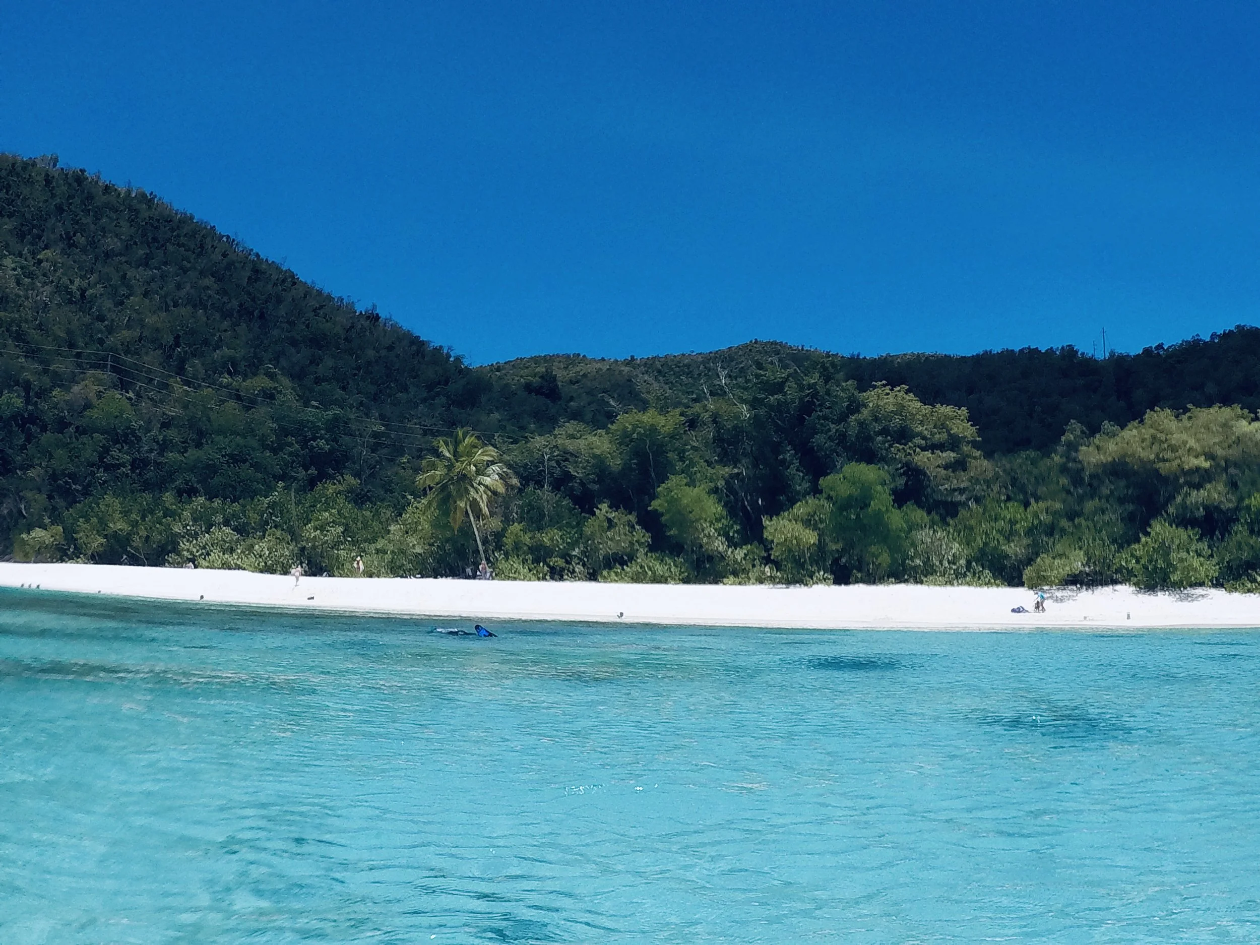 Tropical beach with turquoise water, a white sandy shoreline, lush green trees, a palm tree, and forested hills under a clear blue sky.