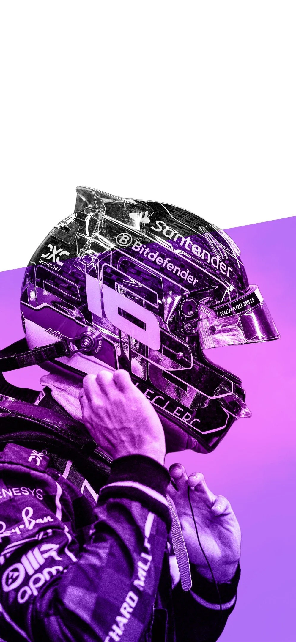 457622452_1444245302940952_6158461895059386690_n.jpg
