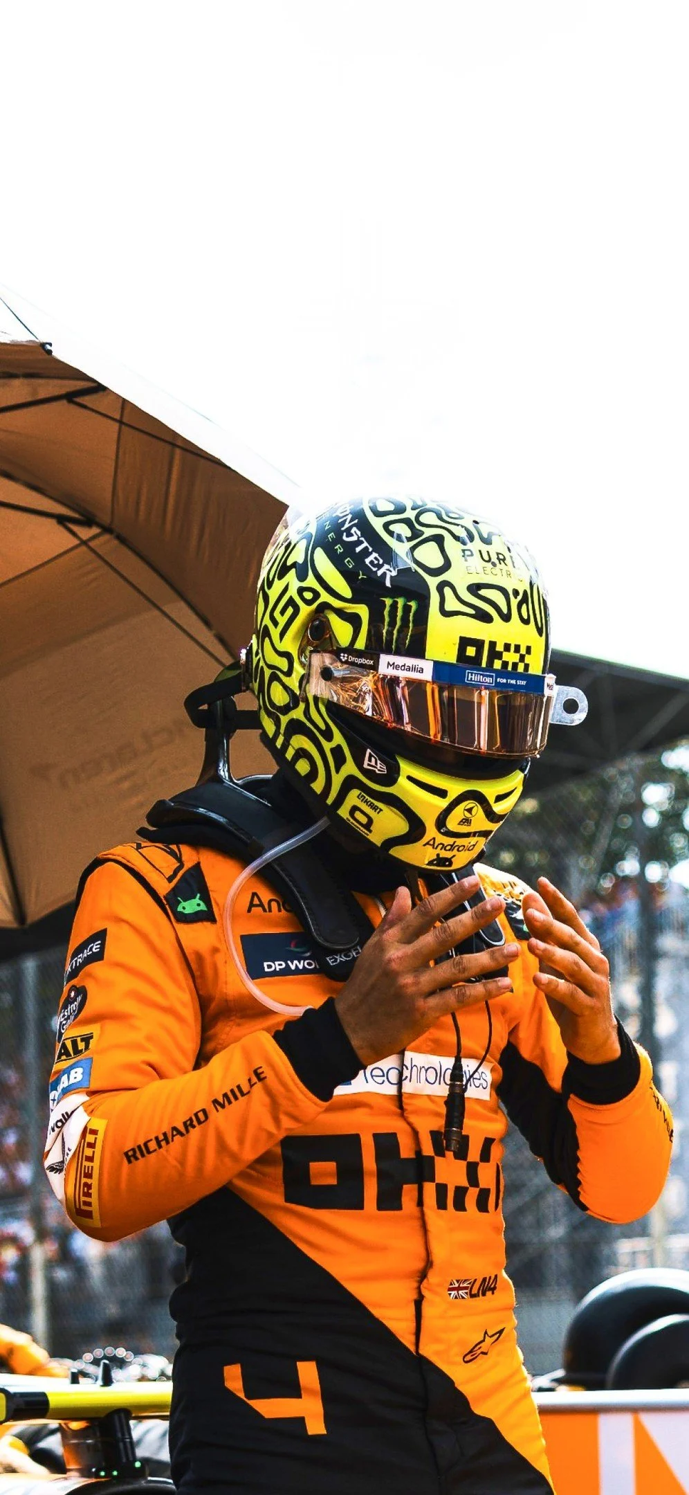459149968_1176177383593609_6516422626232672380_n.jpg