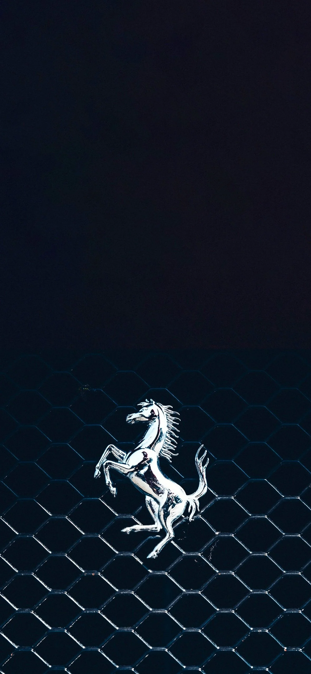 504500297_17911534776118619_4025499797896493951_n.jpg